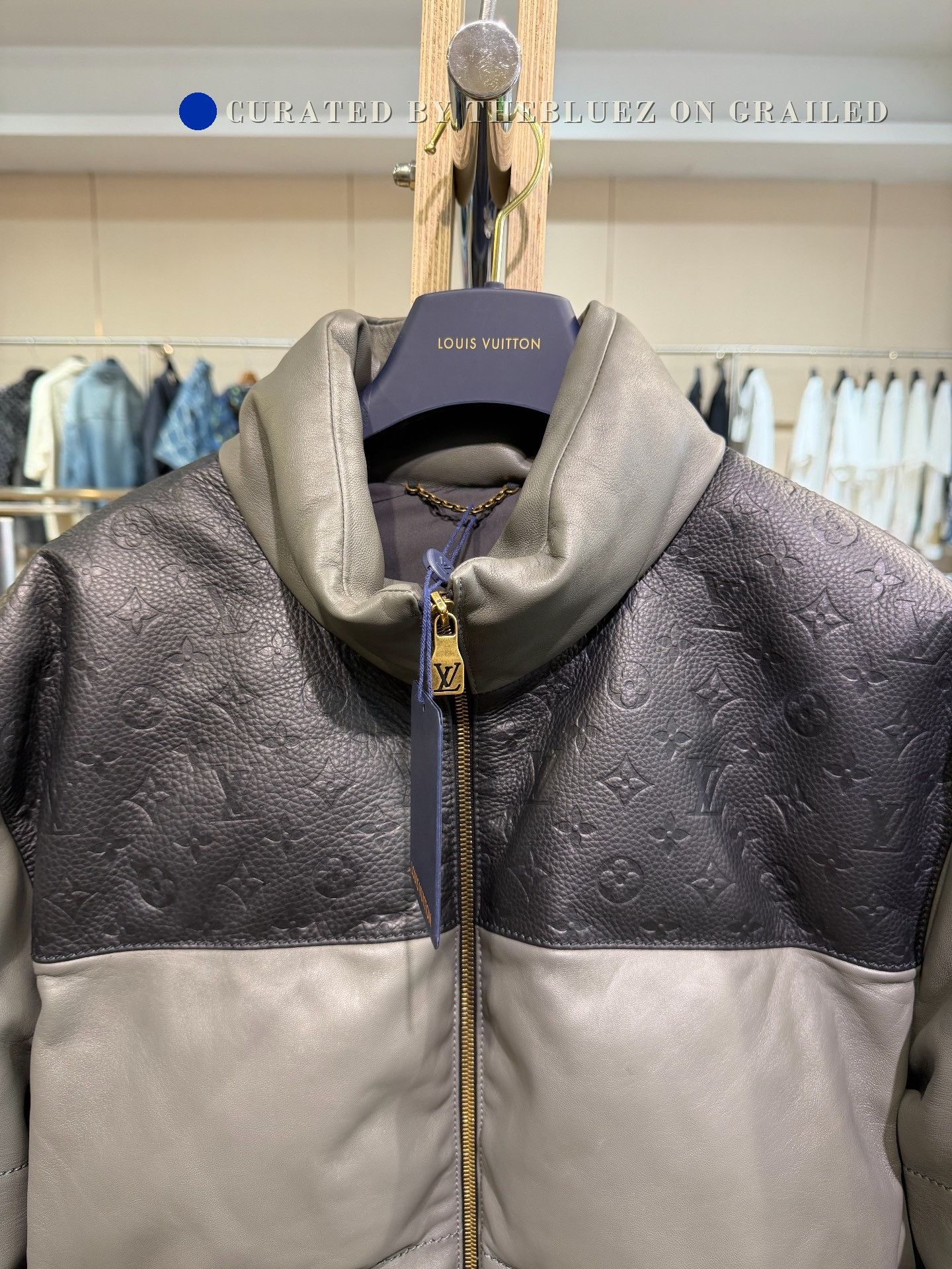 Louis Vuitton Louis Vuitton Men's Patchwork Leather Down Jacket Size US M / EU 48-50 / 2 - 2 Thumbnail