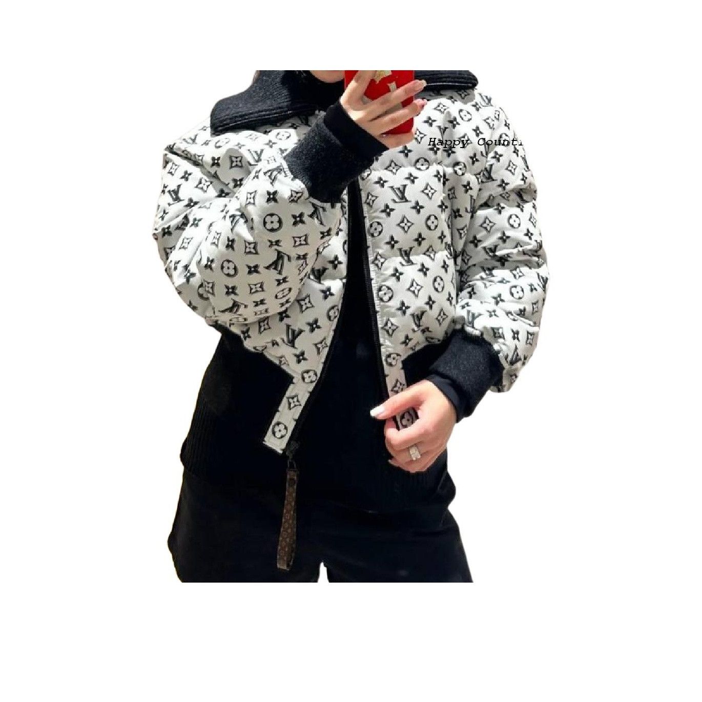Louis Vuitton Louis Vuitton Monogram Down Jacket Size 36 Size XS / US 0-2 / IT 36-38 - 12 Thumbnail