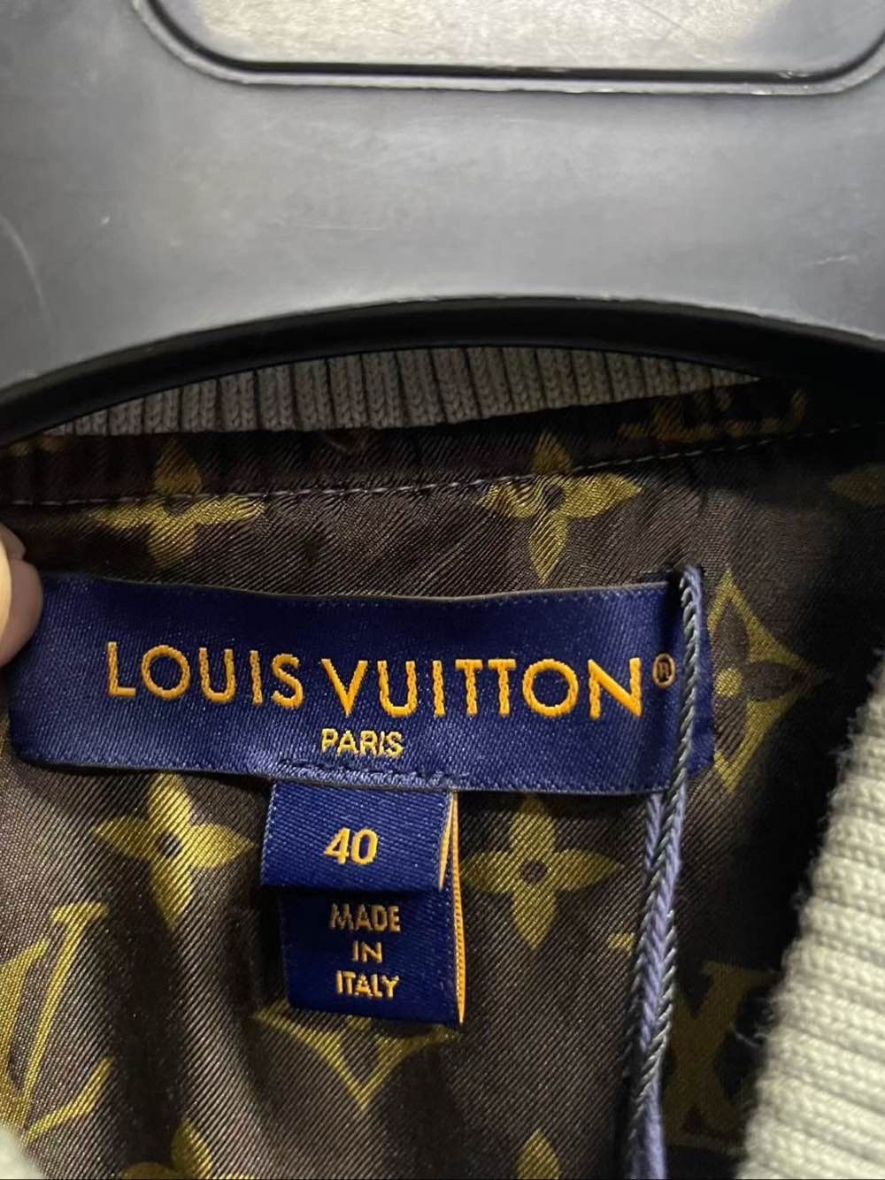 Louis Vuitton Louis Vuitton Shimmering Bomber Jacket Size 40 Size M / US 6-8 / IT 42-44 - 3 Thumbnail