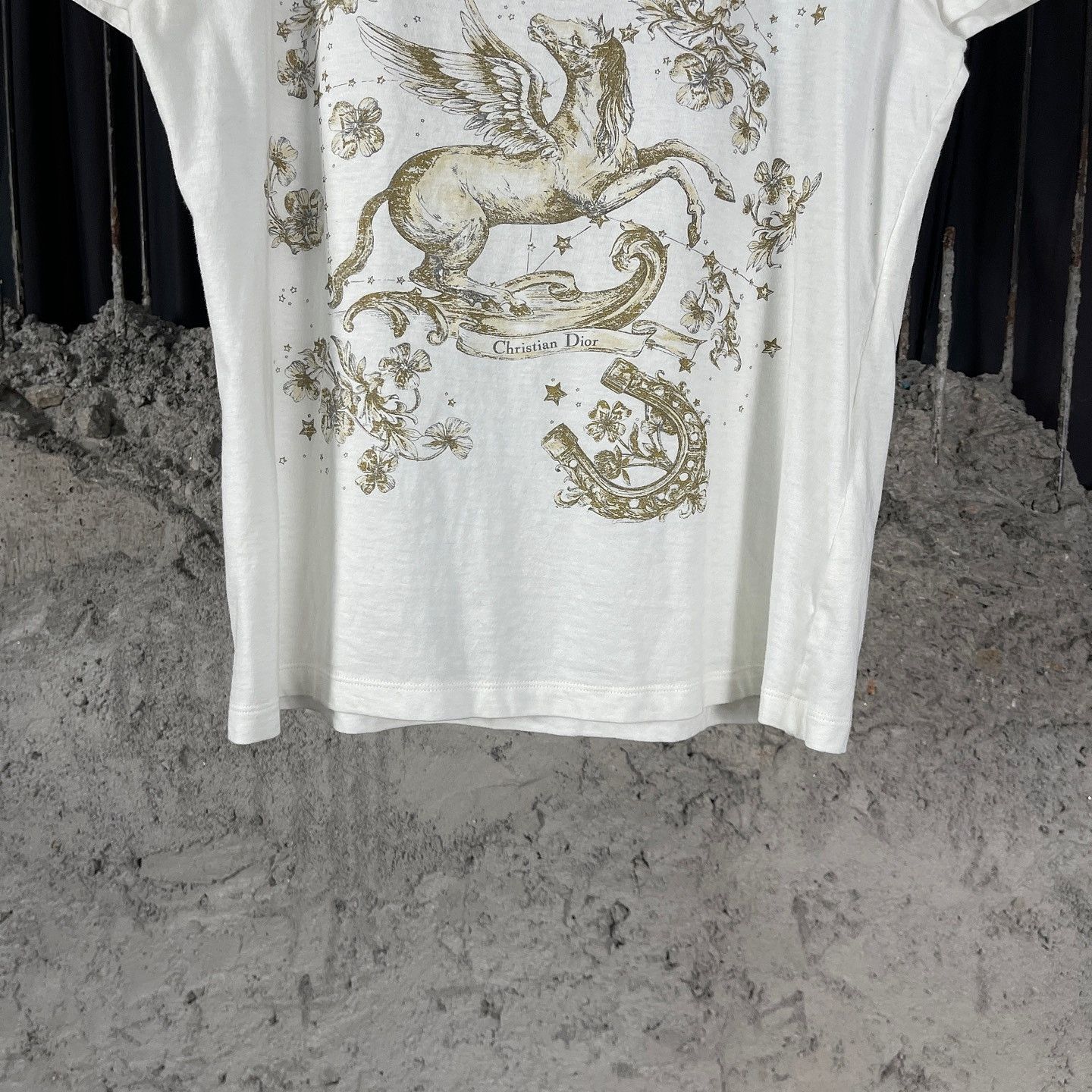 Dior Dior Pegasus Print T-Shirt Size M Size US M / EU 48-50 / 2 - 6 Thumbnail