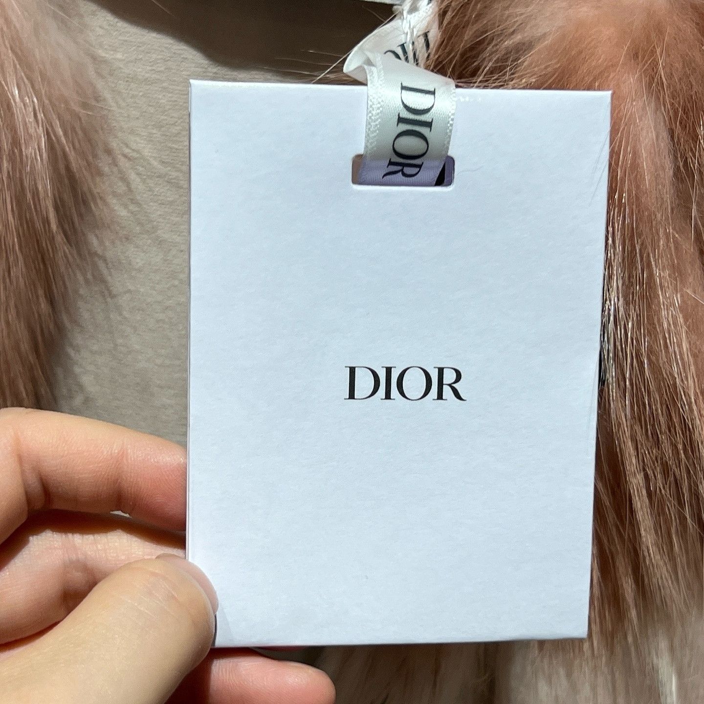 Dior Dior Pink Fox Fur Vest Size 34 Size XS / US 0-2 / IT 36-38 - 5 Thumbnail