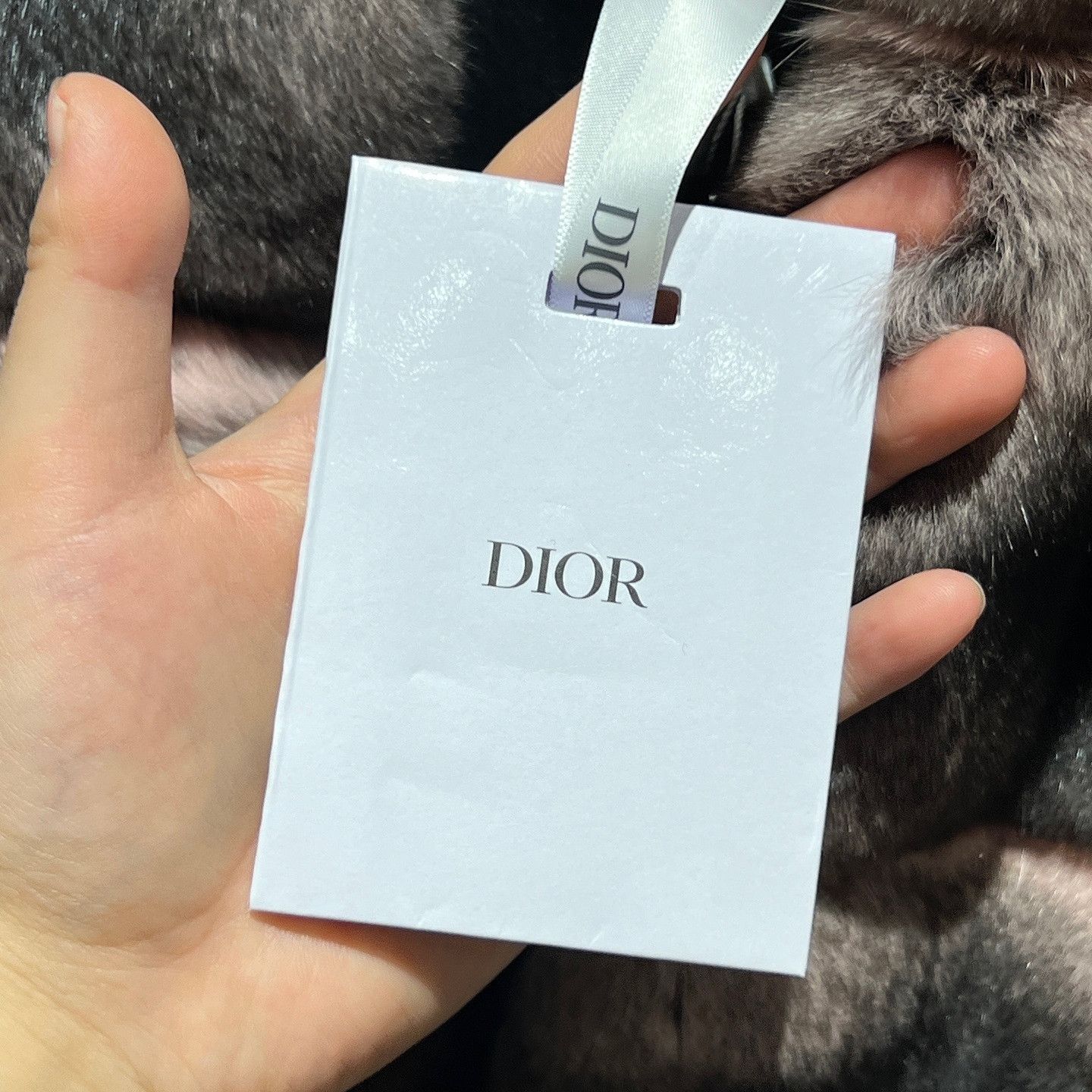 Dior Dior Chinchilla Fur Jacket Size FR 36 Size XS / US 0-2 / IT 36-38 - 5 Thumbnail