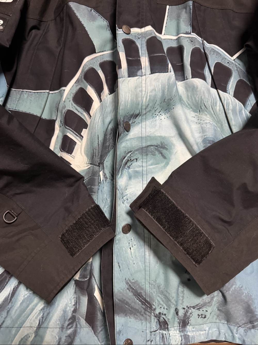 Supreme × The North Face Supreme x The North Face Statue of Liberty Jacket Size L Size US L / EU 52-54 / 3 - 5 Thumbnail