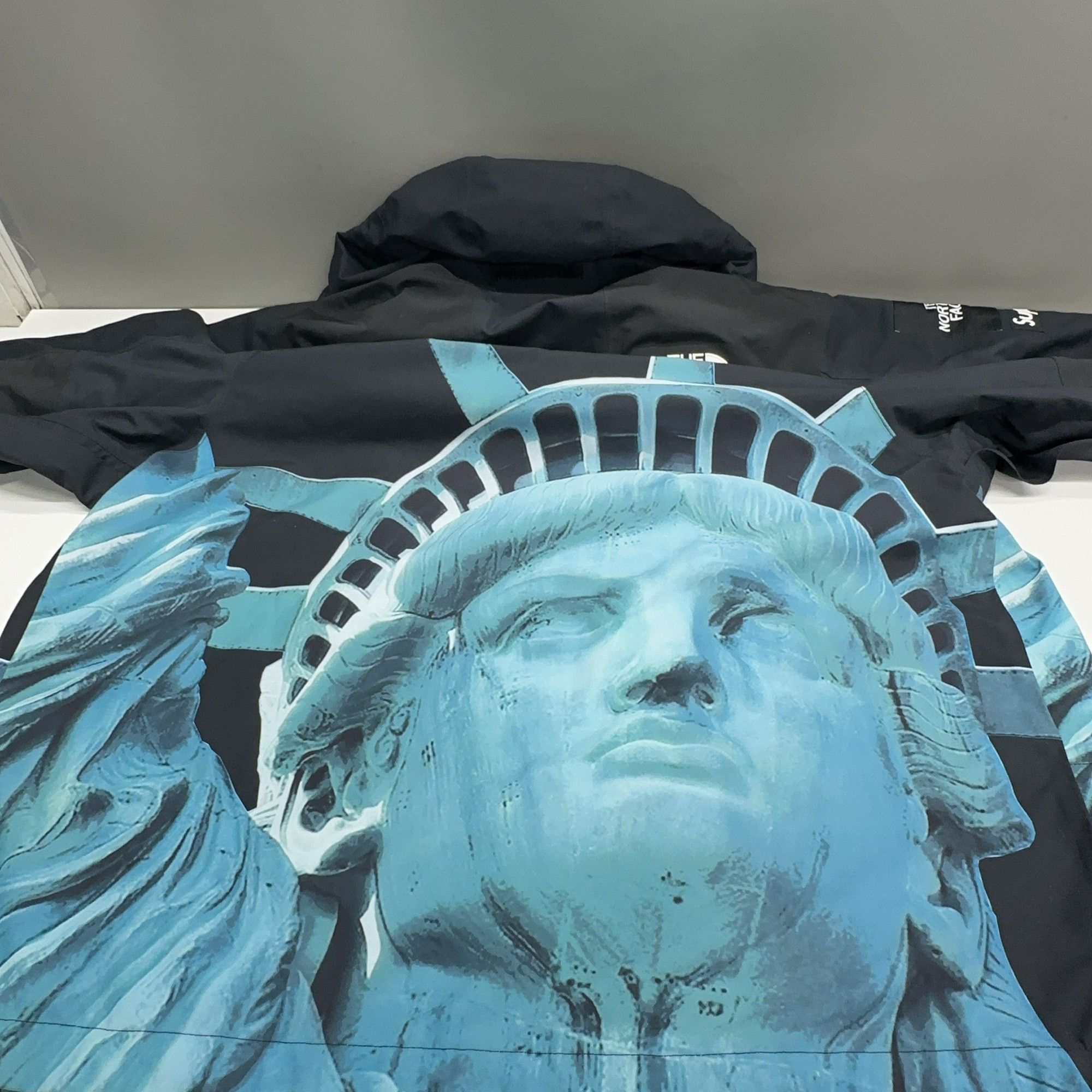 Supreme Supreme x The North Face Statue of Liberty Jacket Size S Size US S / EU 44-46 / 1 - 17 Thumbnail