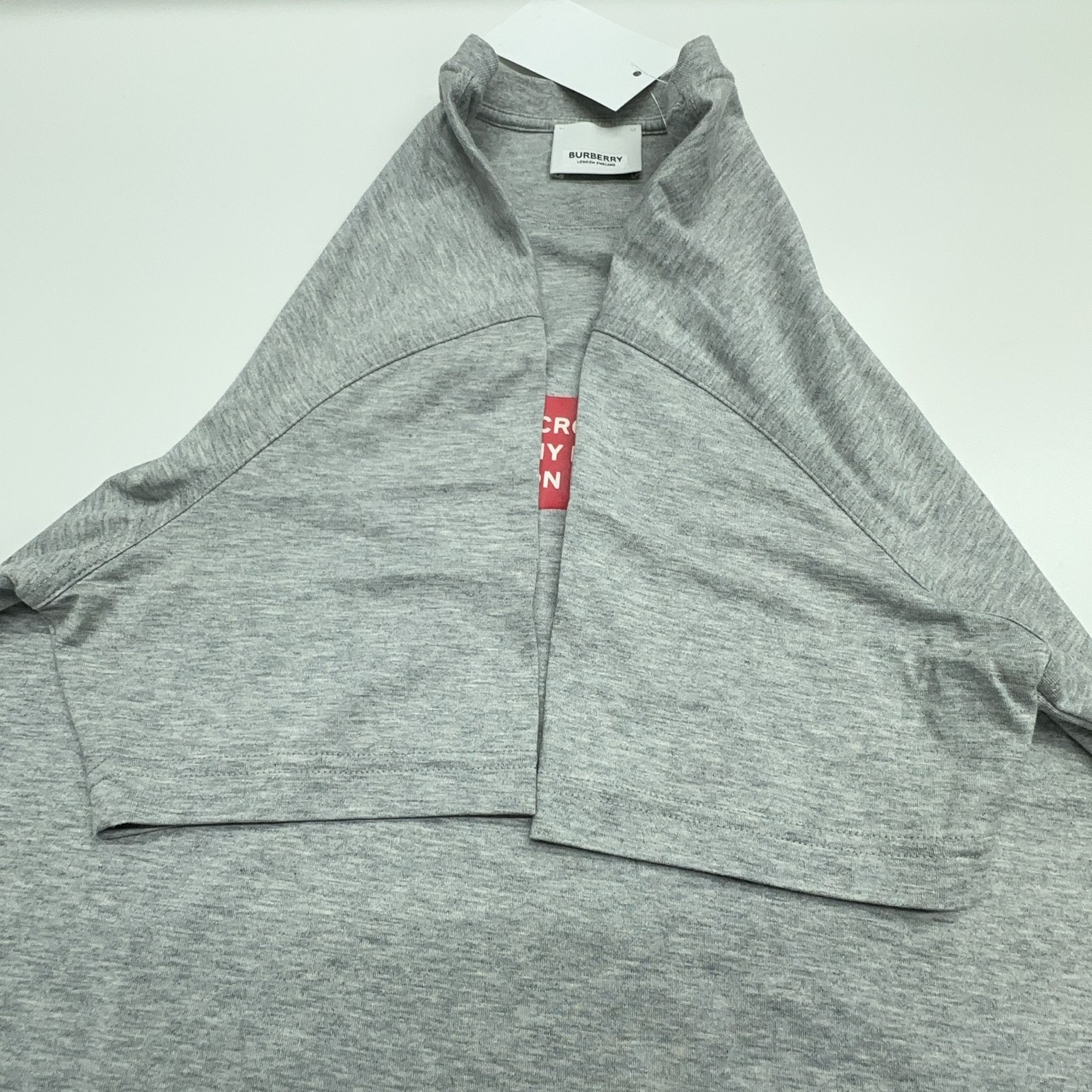 Burberry Burberry Text Box Logo Short Sleeve T-Shirt Size S Size S / US 4 / IT 40 - 6 Thumbnail