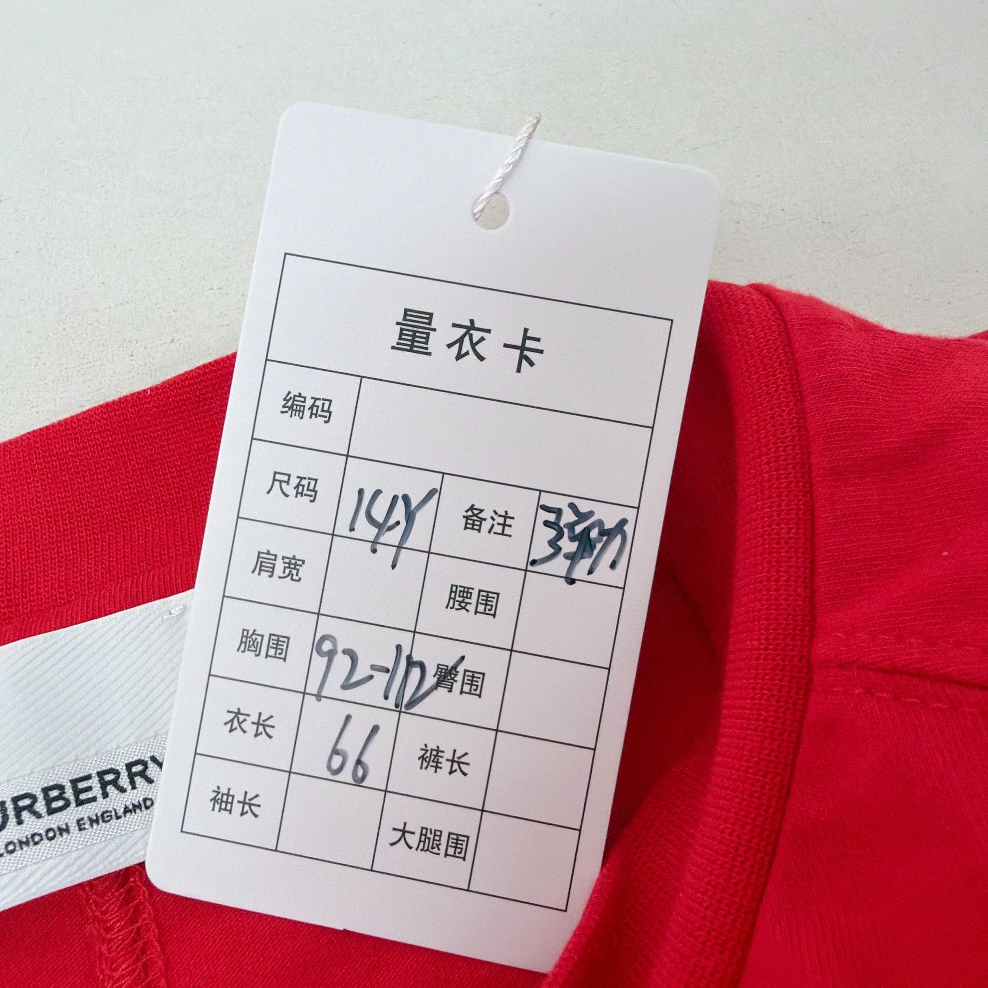 Burberry Red Logo Long Sleeve Tee in XS Size US XS / EU 42 / 0 - 9 Thumbnail