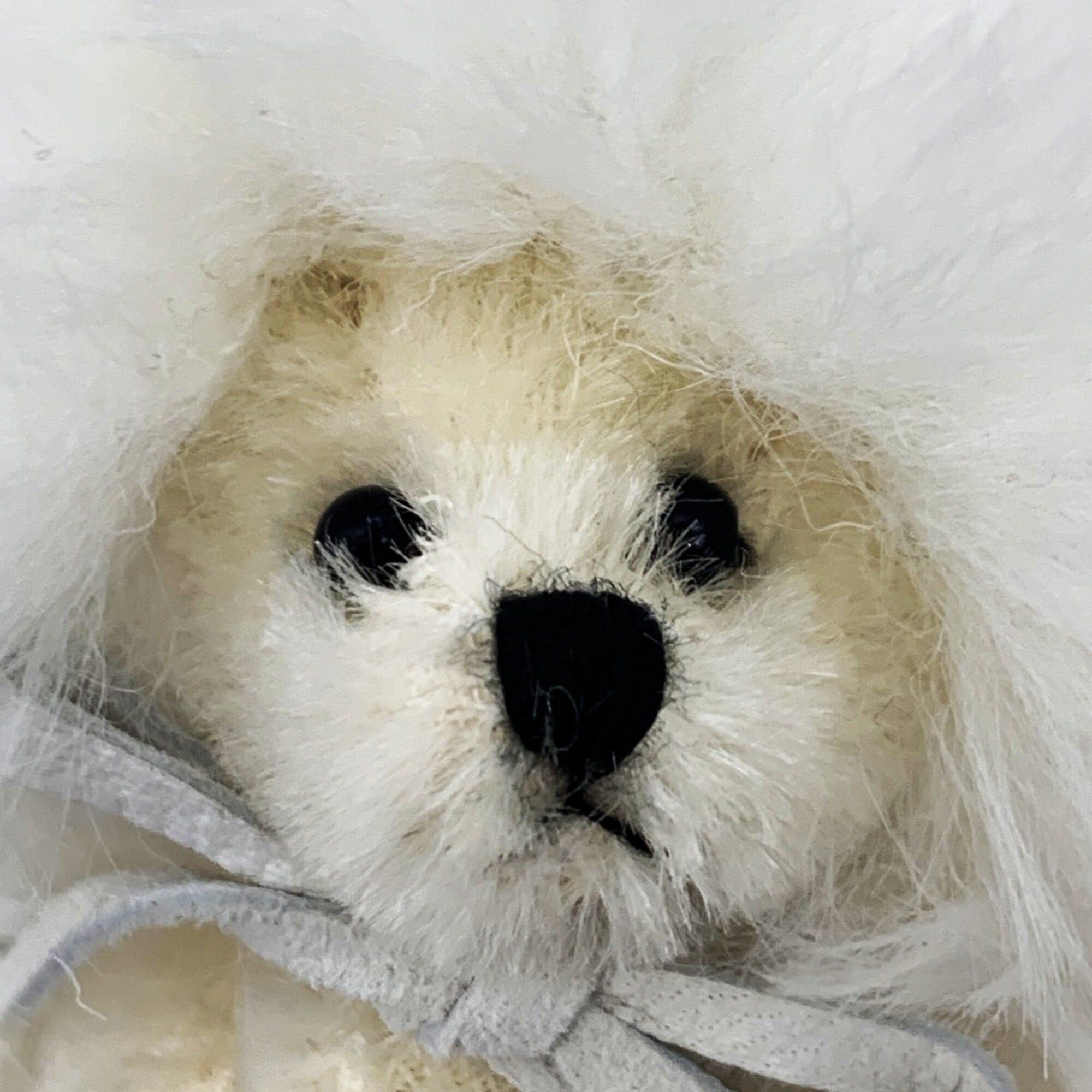 Prada Prada Trick White Fur Teddy Bear Bag Charm PRADA Size ONE SIZE - 2 Thumbnail