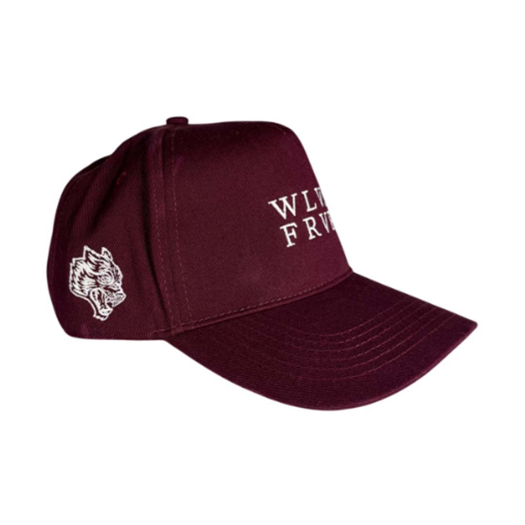 Darc Sport Darcsport FRVR 5 Panel Hat Gemstone Size ONE SIZE - 2 Thumbnail