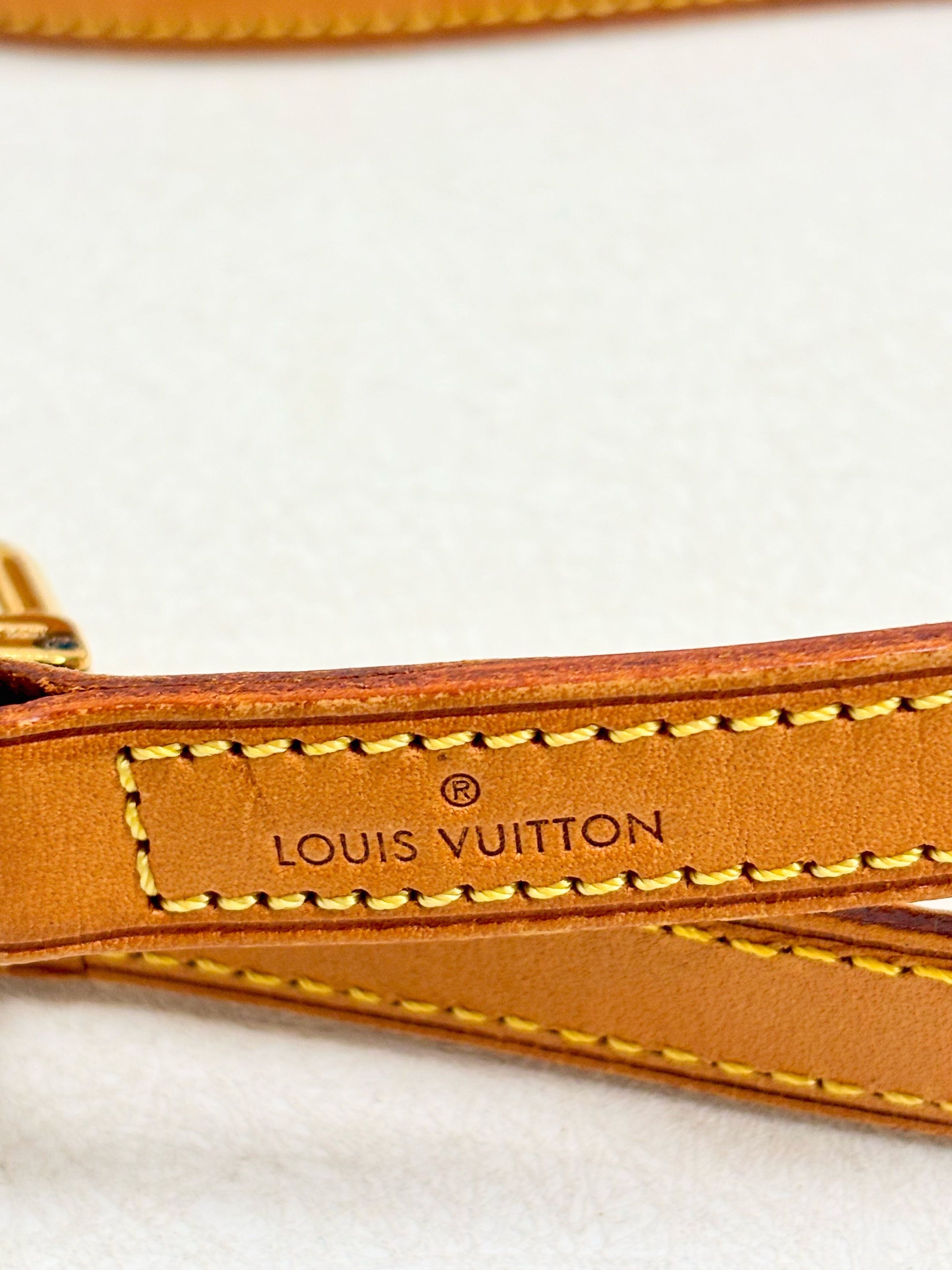 Louis Vuitton Bandoulière cuir Size ONE SIZE - 7 Thumbnail