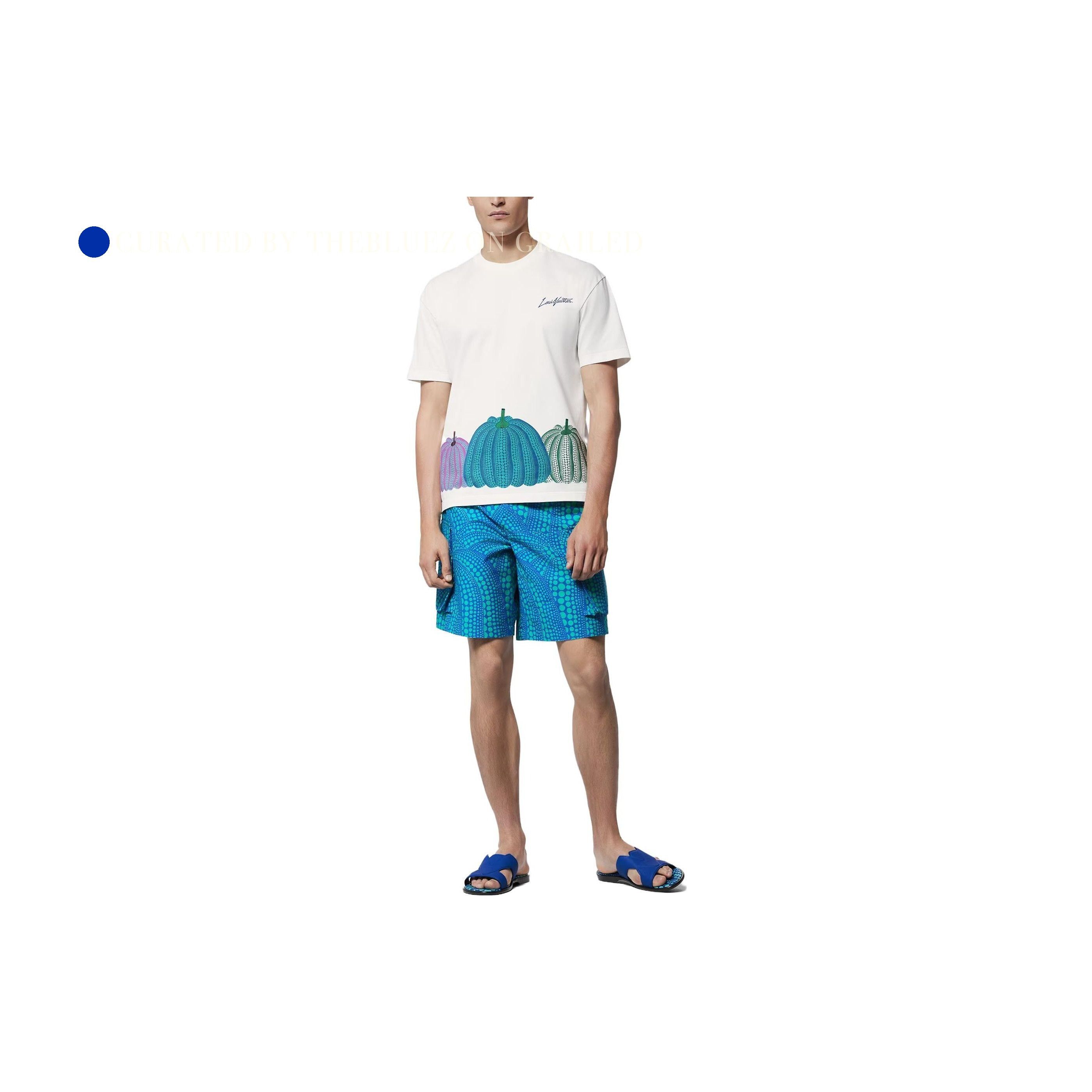 Louis Vuitton Polka Dot Shorts in Blue Size US 30 / EU 46 - 7 Thumbnail