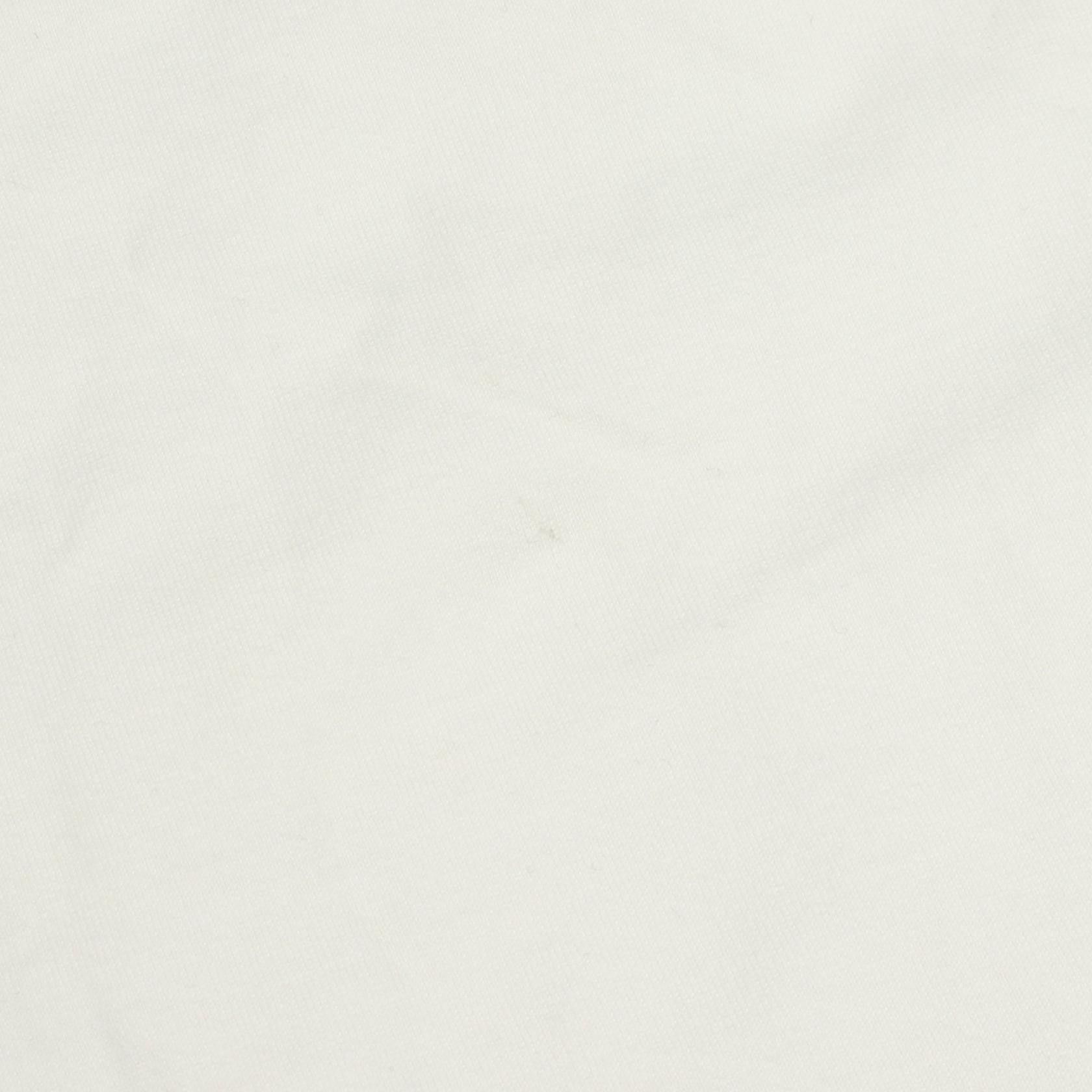Celine Celine CELINE Logo Print Mesh Trim Leopard Cotton T Shirt Textile T-Shirts 2X50A671Q DUTY FREE for USA Size ONE SIZE - 9 Thumbnail