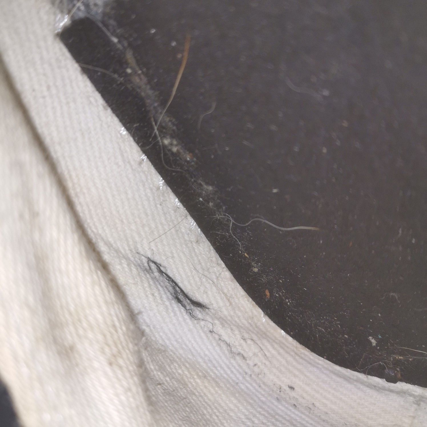 Maison Margiela Maison Margiela Black Tabi Low-Top Sneakers Size 37 Size US 7 / IT 37 - 11 Thumbnail