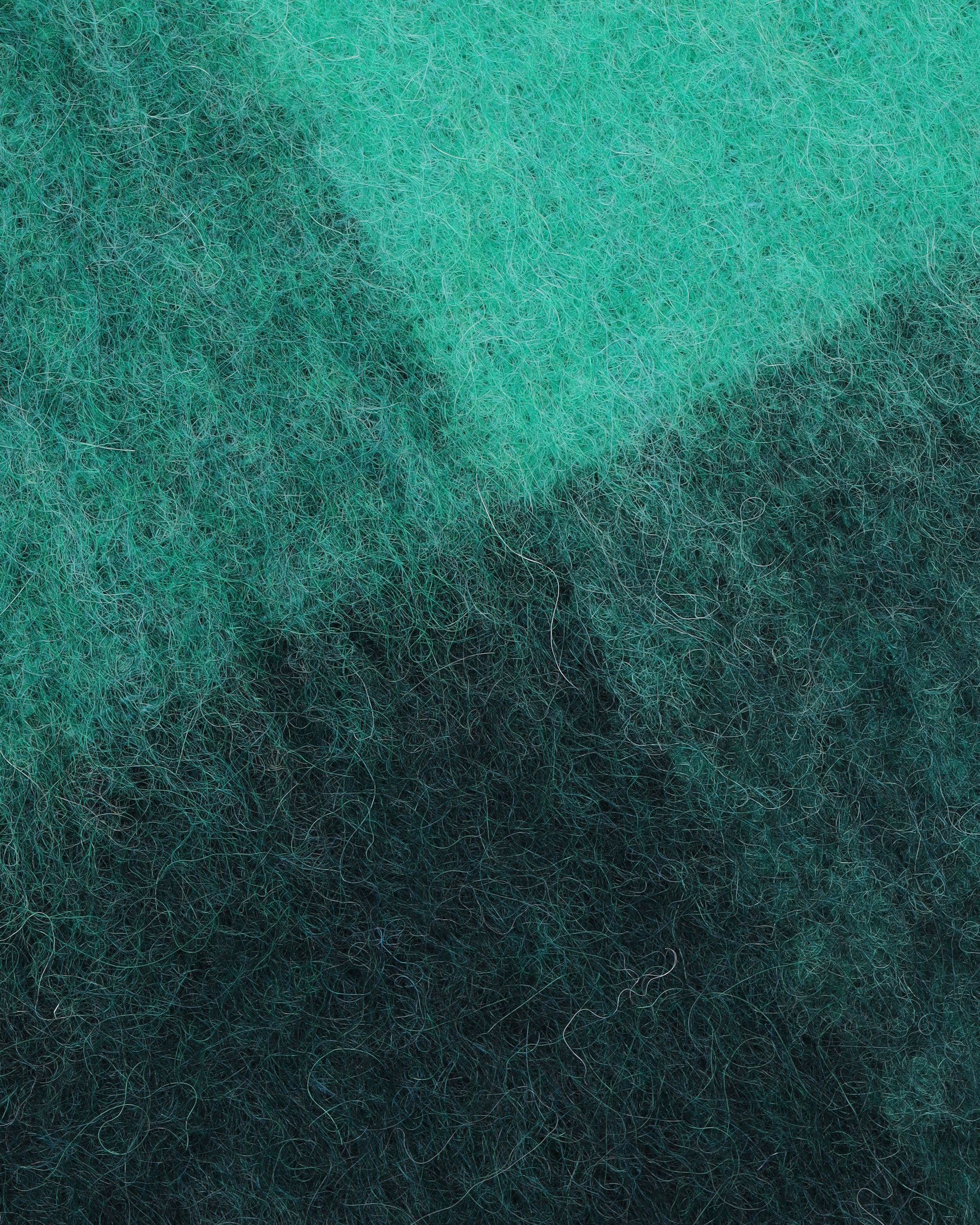 Acne Studios Acne Studios Label Stitched Detail Plaid Fur Fleece Scarf Size ONE SIZE - 5 Thumbnail