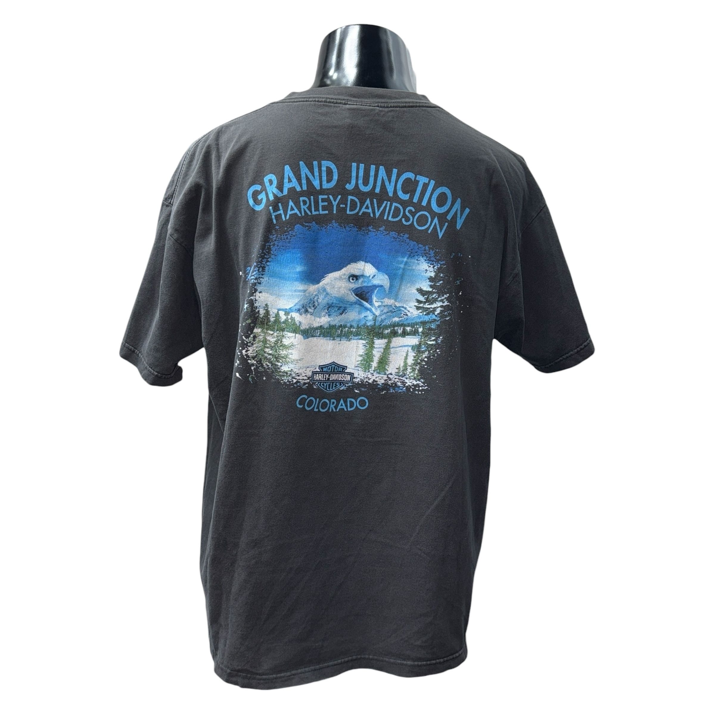 Harley Davidson Harley Davidson T-Shirt Size XL Size US XL / EU 56 / 4 - 2 Thumbnail