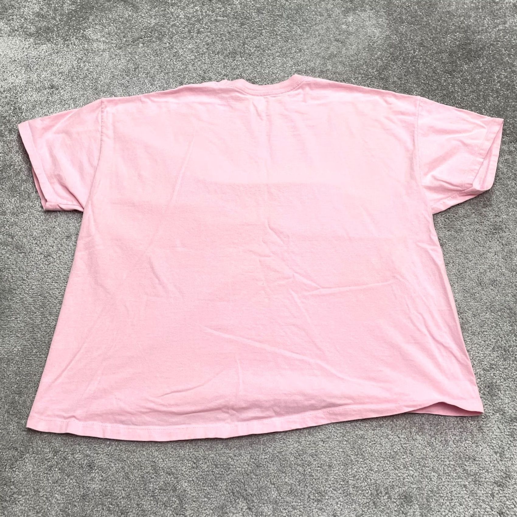 Hanes Hanes Beef-T Basic T-Shirt Mens 2XL Pink Crew Neck Short Sleeve Essential Tee Shirt Mens Regular Cotton Knit Logo Vintage: No Size US XXL / EU 58 / 5 - 2 Thumbnail