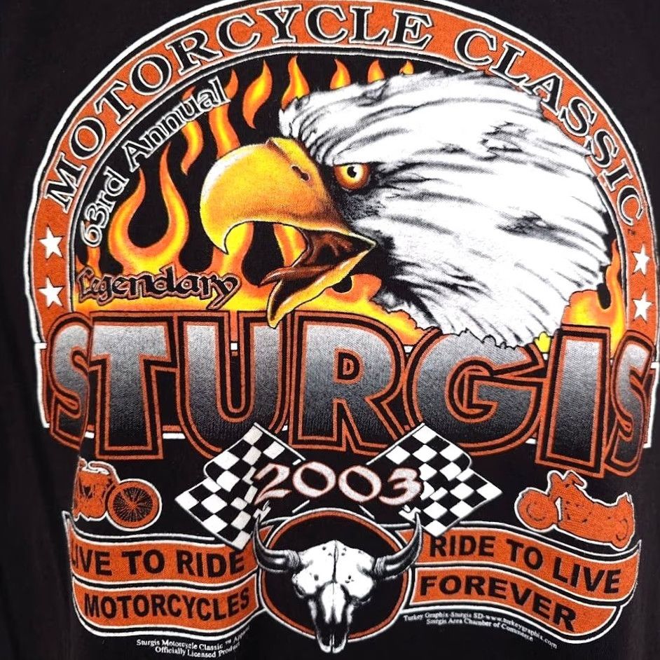 Hanes VINTAGE Sturgis T Shirt Mens Size Large Black Y2K 2003 Black Hills Rally Eagle Hanes Shirt Mens Black Hills Rally 2003 Biker Souvenir Size US L / EU 52-54 / 3 - 3 Thumbnail