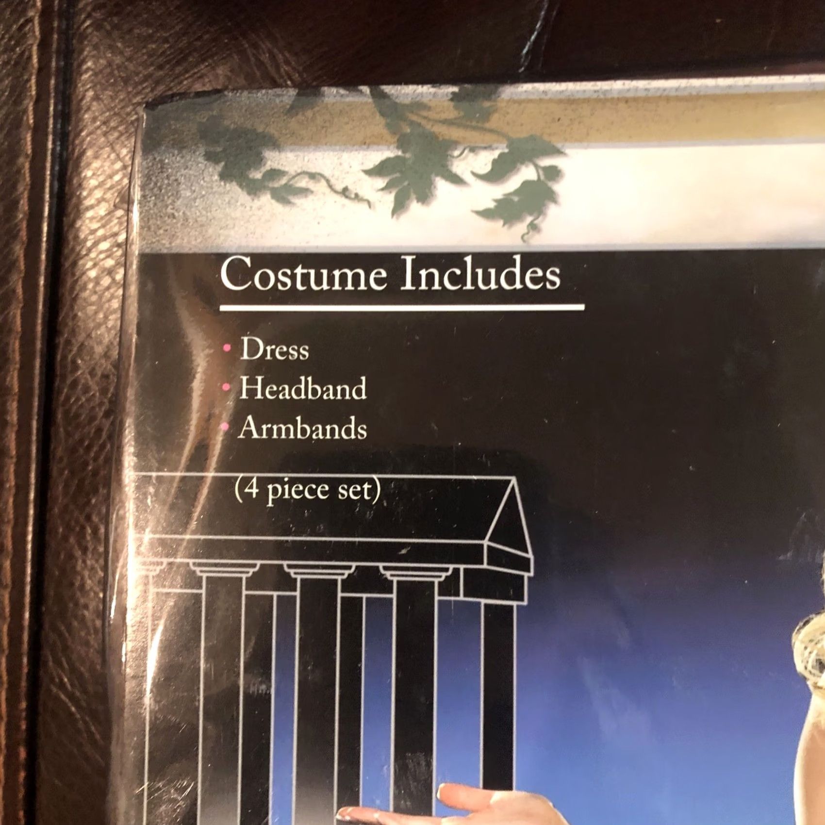 Vintage Dreamgirl Halloween Plus Costume - 3X/4X Size ONE SIZE - 4 Thumbnail