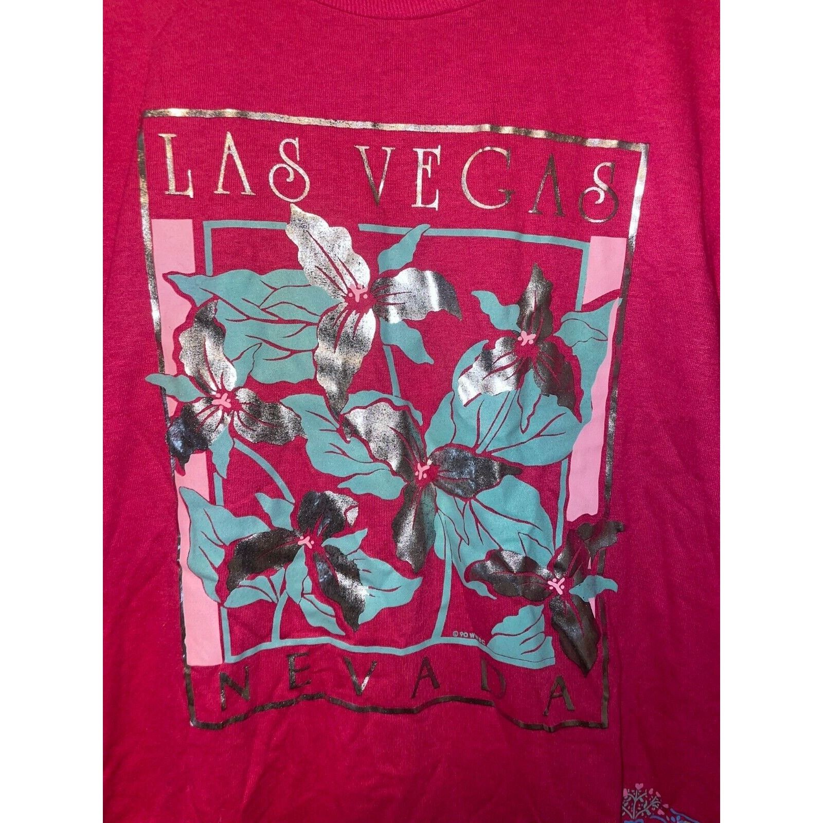 Jerzees Vintage Test Print Shirt Lake Tahoe Napa Bears Tee VTG 90s L Size US L / EU 52-54 / 3 - 2 Thumbnail