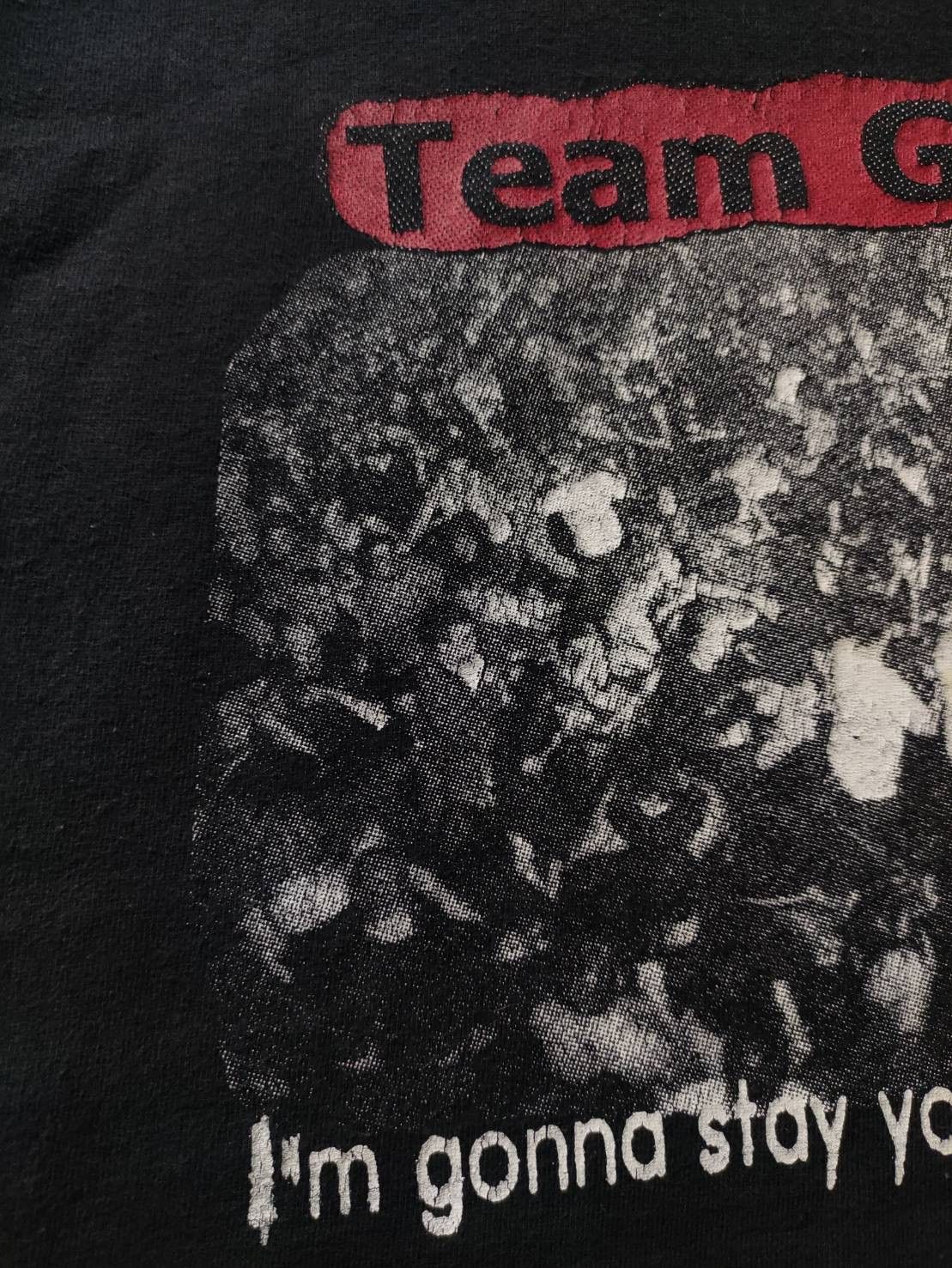 Band Tees Vtg 00's D.I. Team Goon " I'm Gonna Stay Young Until I Die " Size US S / EU 44-46 / 1 - 3 Thumbnail