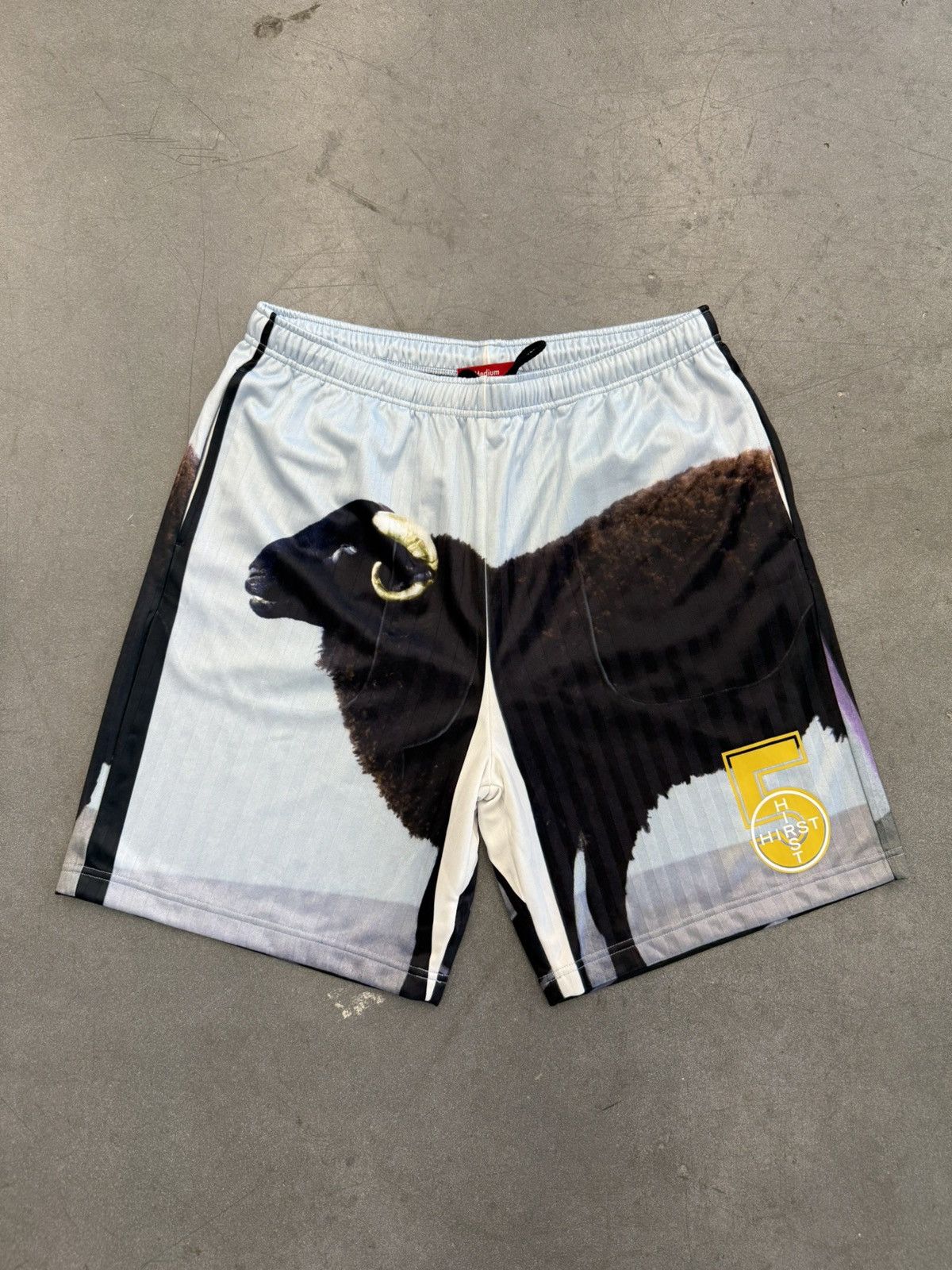 Supreme Damien Hirst Soccer Short Black Supreme®/Damien