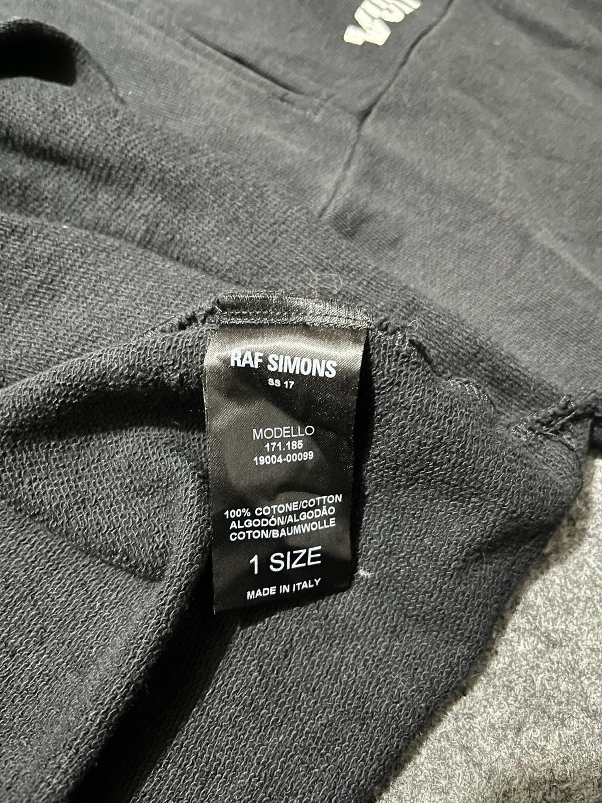 Raf Simons Hoodie Raf Simons Vulture Oversized SS2017 Size US L / EU 52-54 / 3 - 17 Thumbnail