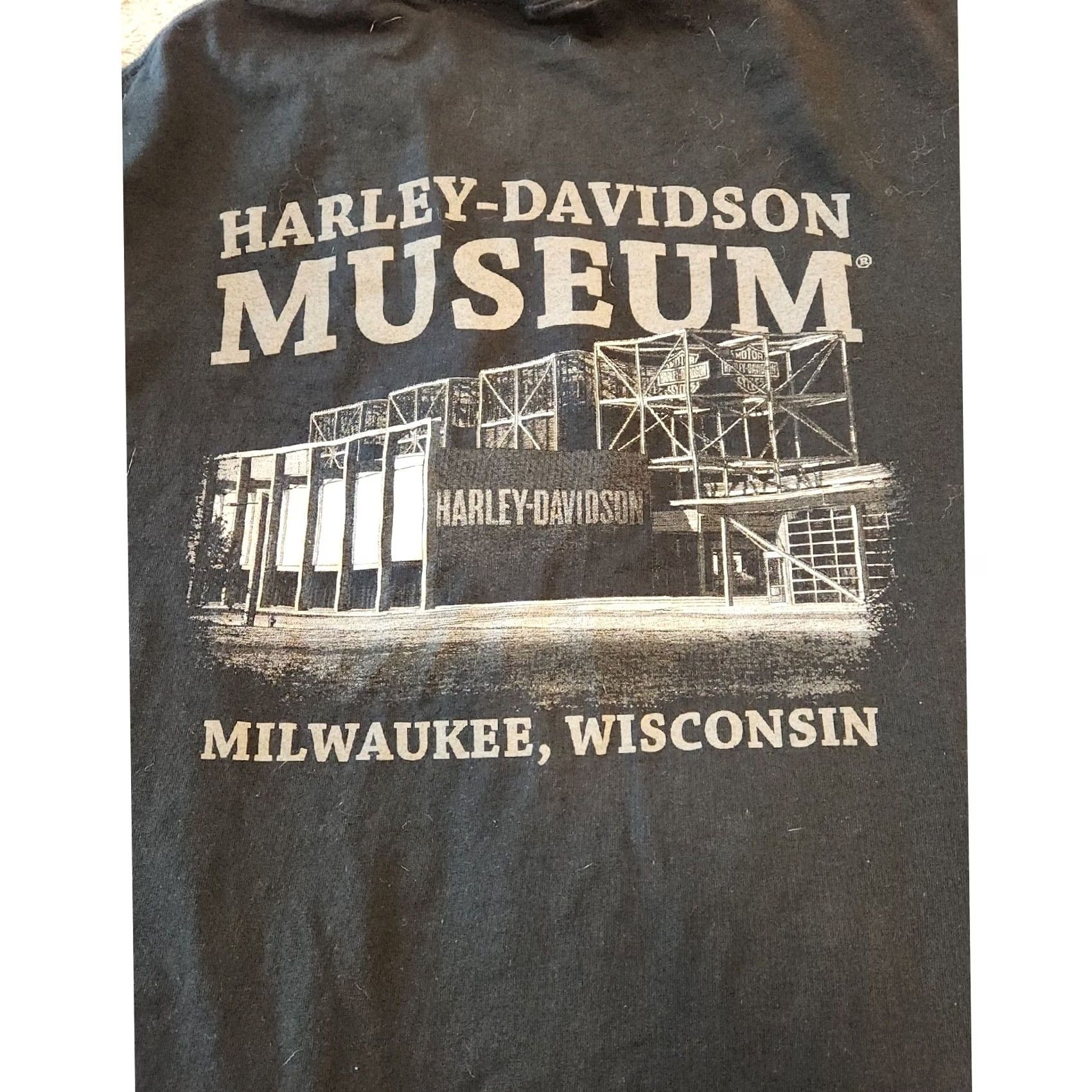 Harley Davidson Harley Davidson Museum Skull Logo Black T Shirt Men's M Size US M / EU 48-50 / 2 - 3 Thumbnail