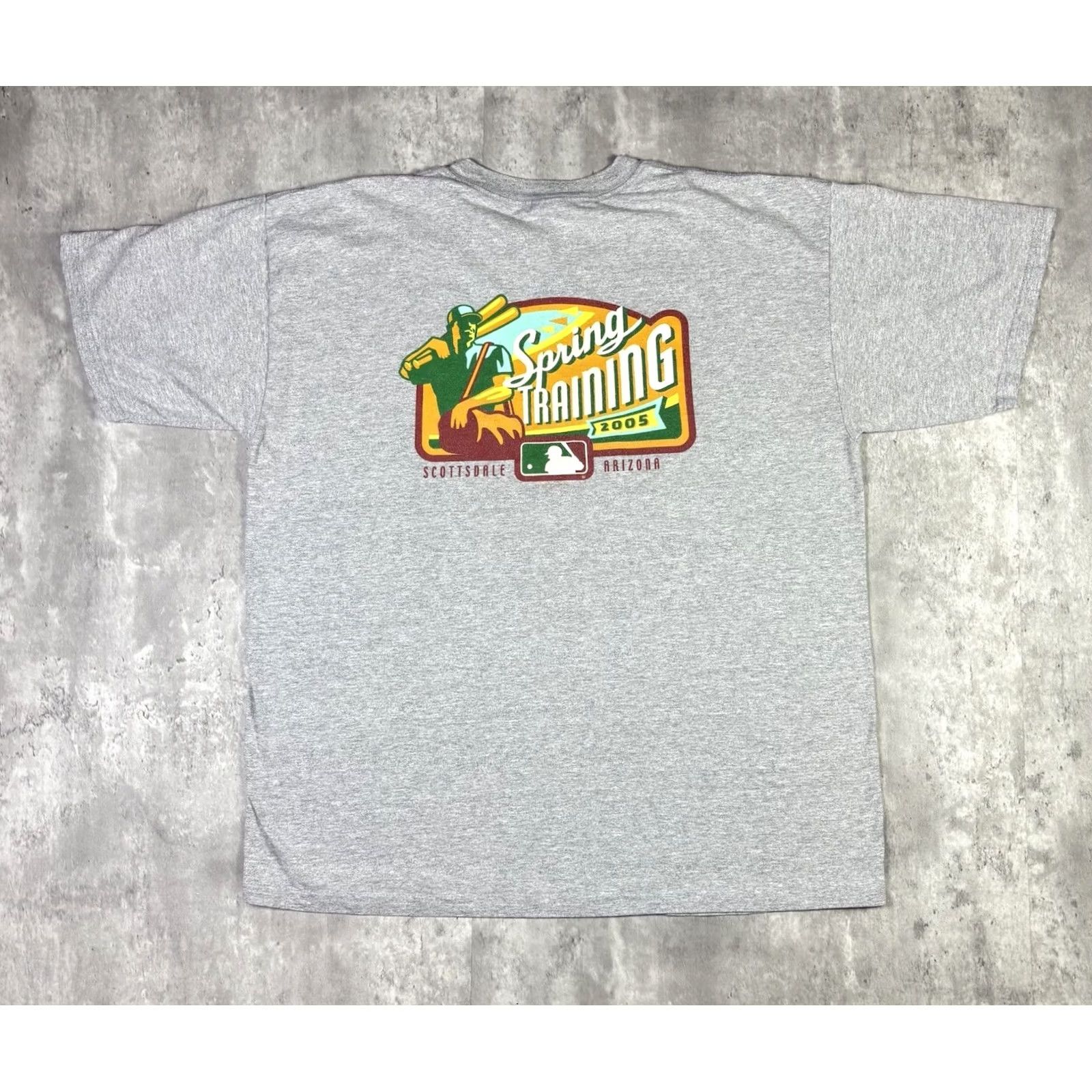 MLB VINTAGE MLB 2005 Spring Training Promo T Shirt Arizona Adult XL Gray Cotton Crew Neck Short Sleeve Mens Baseball Shirt X L MLB 2000s Size US XL / EU 56 / 4 - 2 Thumbnail