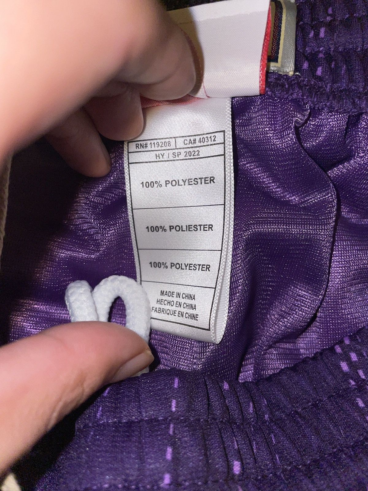 Mitchell & Ness Toronto Raptors Monochrome Shorts Size US 36 / EU 52 - 5 Thumbnail