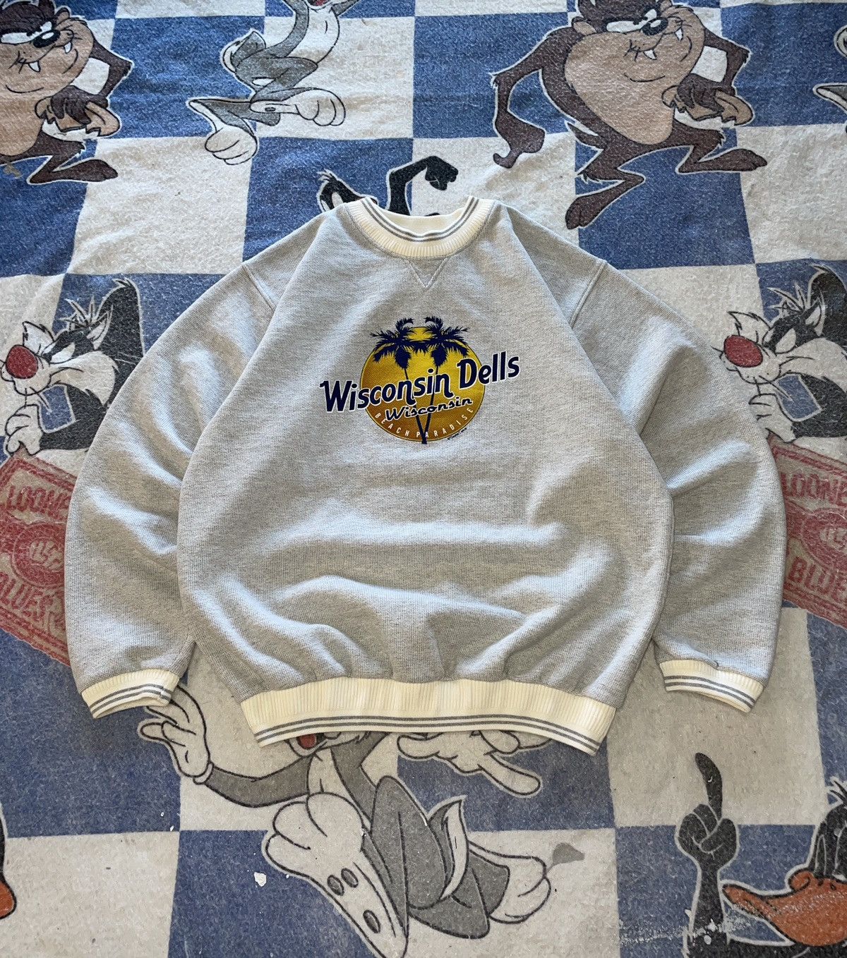 Vintage Vintage Wisconsin dells crewneck Size US XL / EU 56 / 4 - 1 Thumbnail