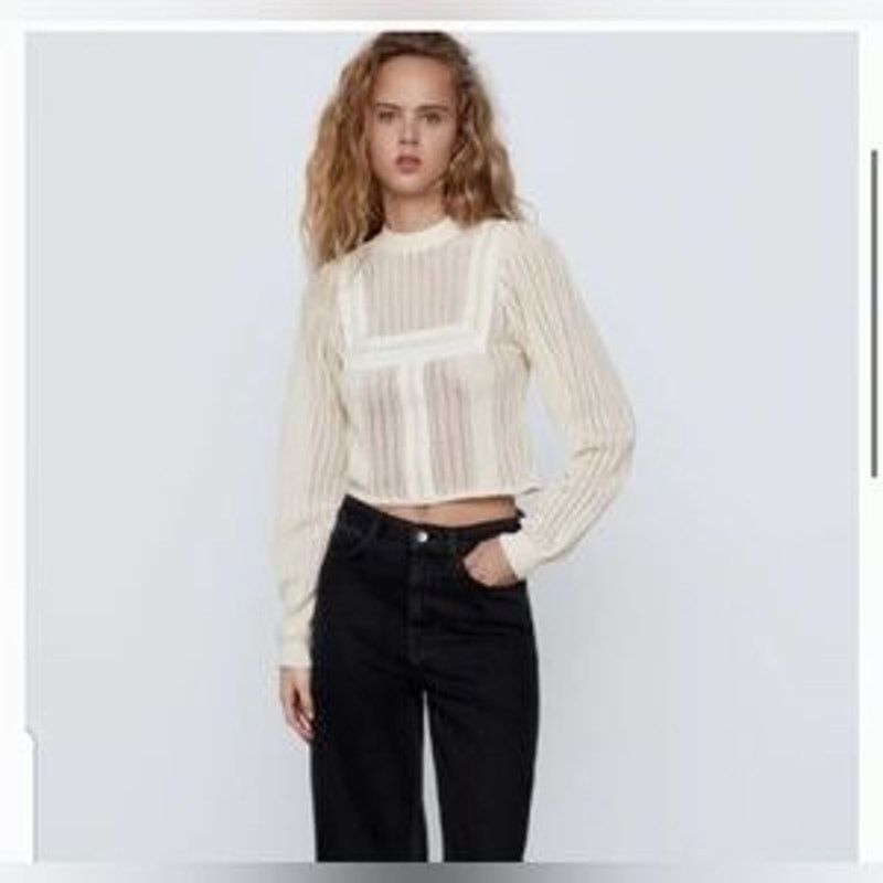 Zara Zara Romantic Sheer Knit Top Lace Trim High Neck Top Size S / US 4 / IT 40 - 2 Thumbnail