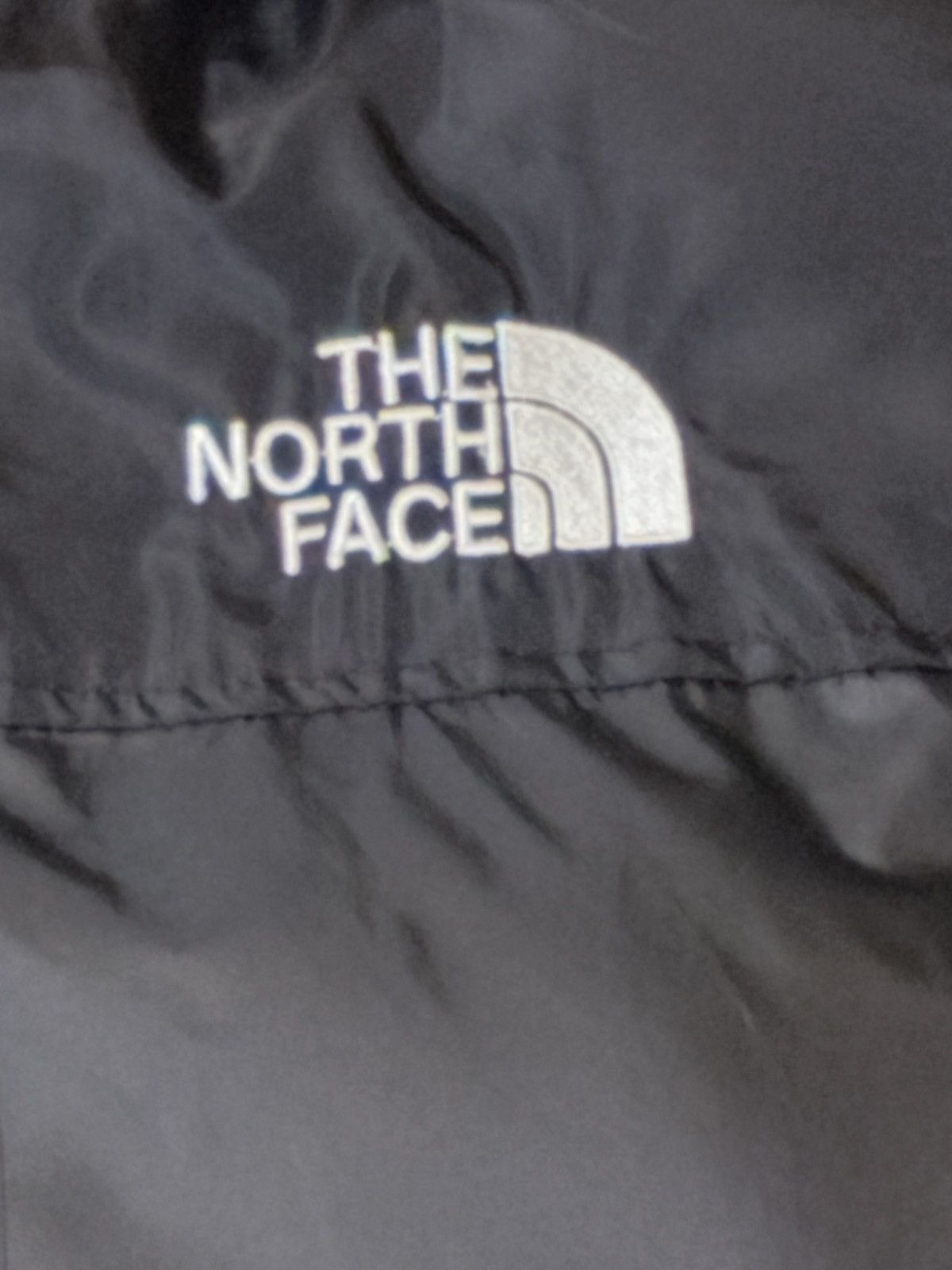 The North Face The North Face Puffer Size US L / EU 52-54 / 3 - 2 Thumbnail