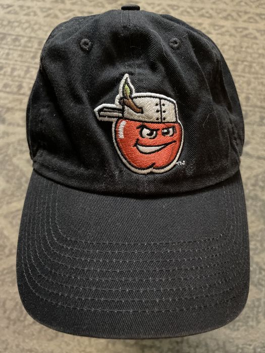 Nike Fort Wayne TinCaps Minor League Baseball Hat Cap Indiana Nik Grailed