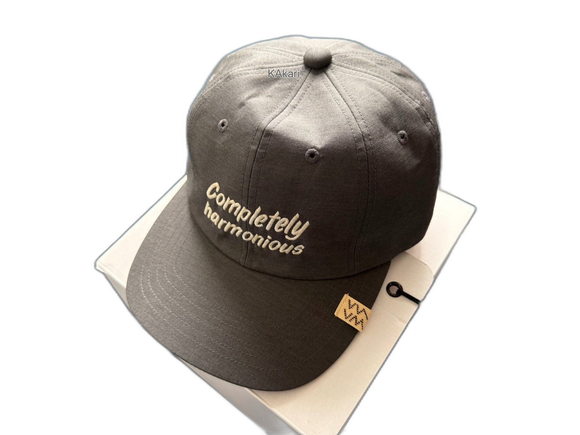 Visvim VISVIM 26SS EXCELSIOR II CAP CHARCOAL Size ONE SIZE - 1 Thumbnail