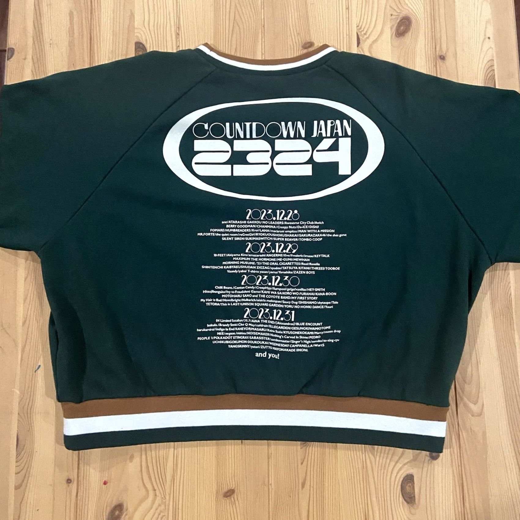 Vintage VINTAGE Unbranded Sweater Cropped Balloon Sleeve Crew Neck Wool Blend L Women Green 2324 Japan 2324 Bohemian Retro Size L / US 10 / IT 46 - 4 Thumbnail