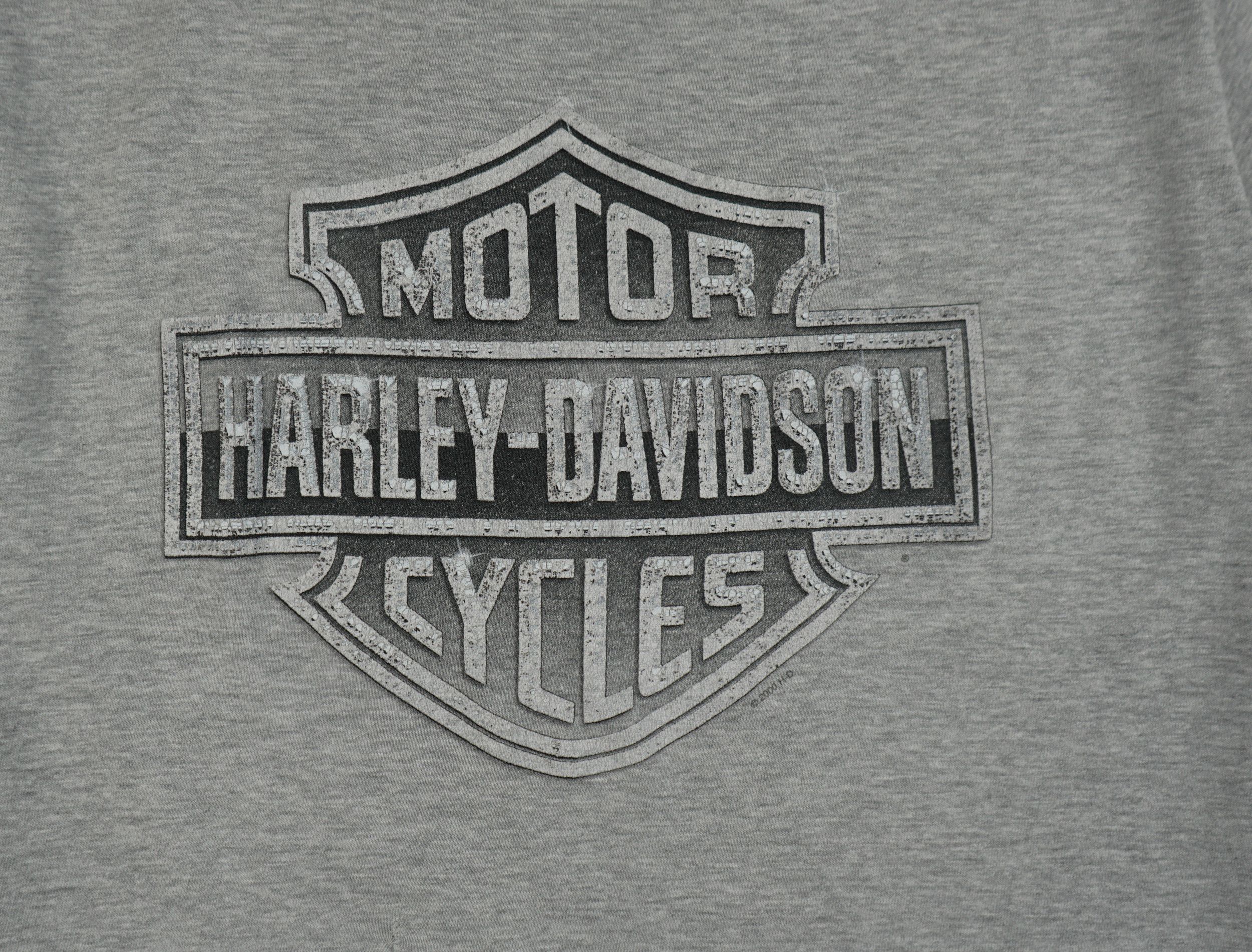 Harley Davidson × Vintage Vintage 2000 Harley Davidson Switzerland T-Shirt Size US S / EU 44-46 / 1 - 2 Thumbnail