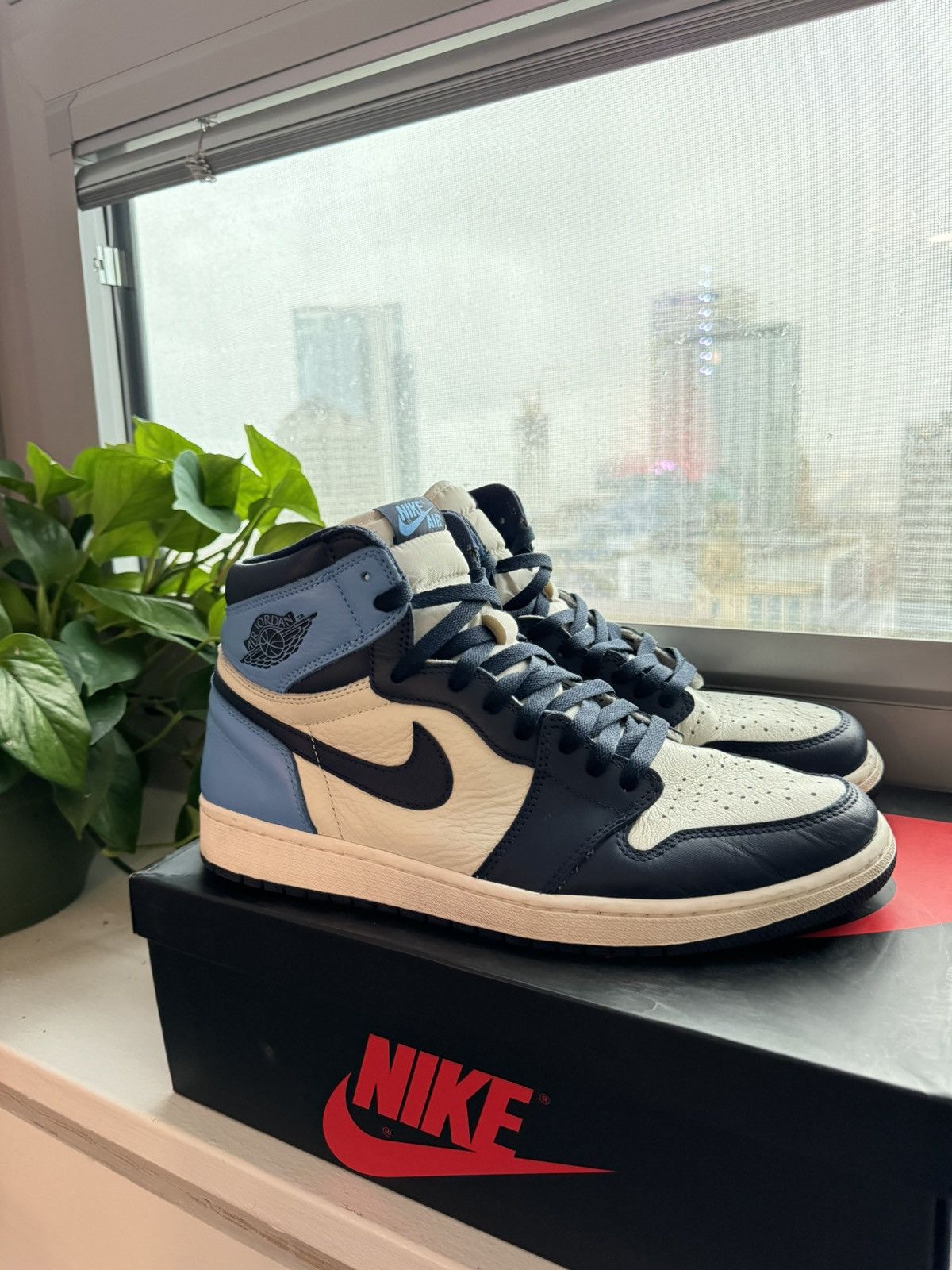 Jordan 1 Obsidian Size 12