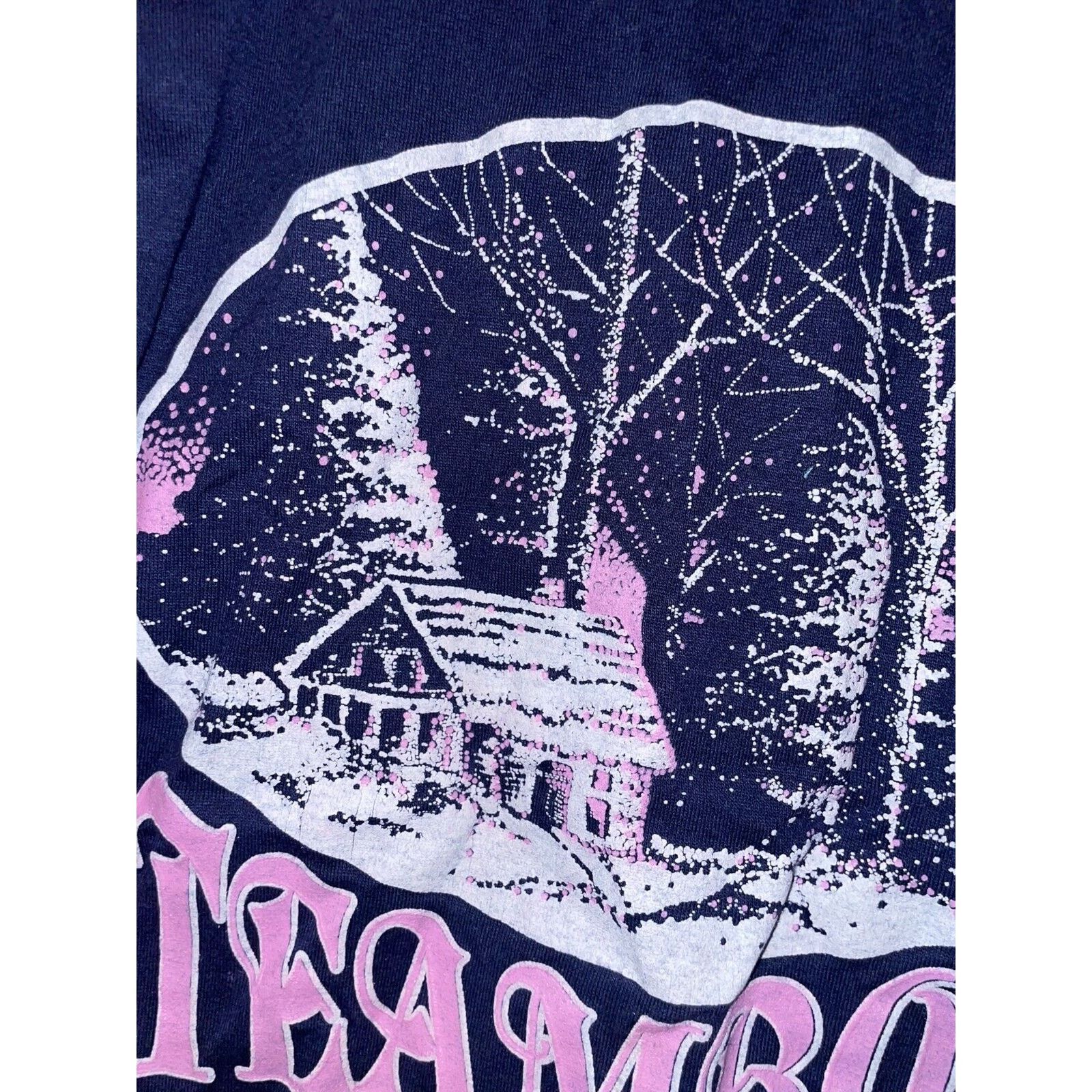 Jerzees Vintage Test Print Shirt Frisbie's Smile Shop Steamboat Tee Size US S / EU 44-46 / 1 - 12 Thumbnail