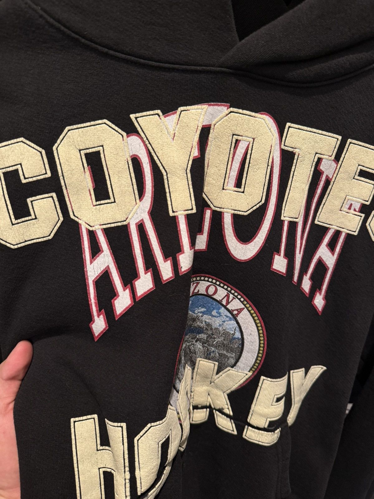 Other AZ Coyotes hoodie Size US S / EU 44-46 / 1 - 2 Thumbnail