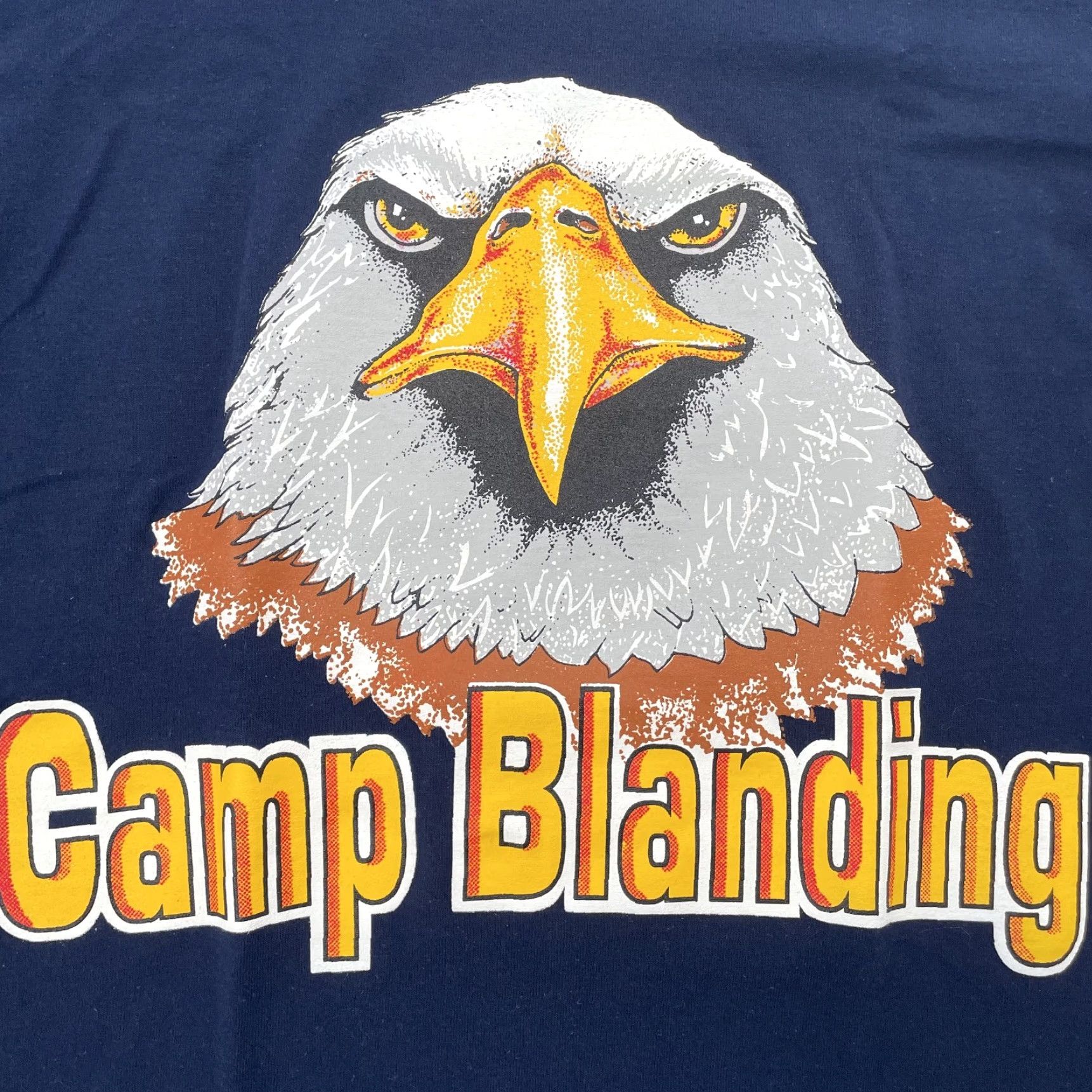 Soffe VINTAGE Camp Blanding Florida National Guard Eagle T-Shirt Adult Medium Blue Army Military 90s Mens Size US M / EU 48-50 / 2 - 3 Thumbnail