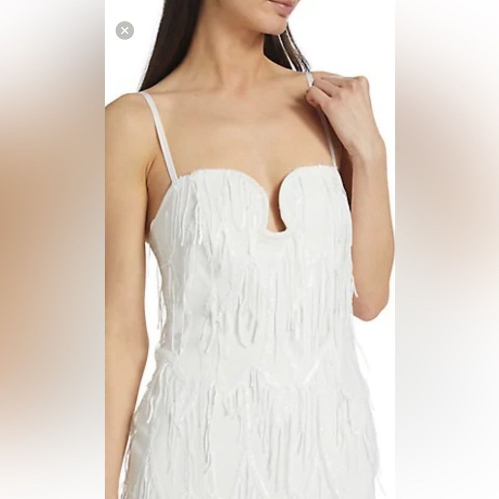 ELLIATT NWT Elliatt $330 Judith Fringe Sequin Dress Size S Size S / US 4 / IT 40 - 4 Thumbnail