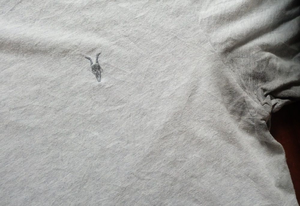 Allsaints AllSaints T-Shirt Grey Embroidered Logo Size US L / EU 52-54 / 3 - 4 Thumbnail