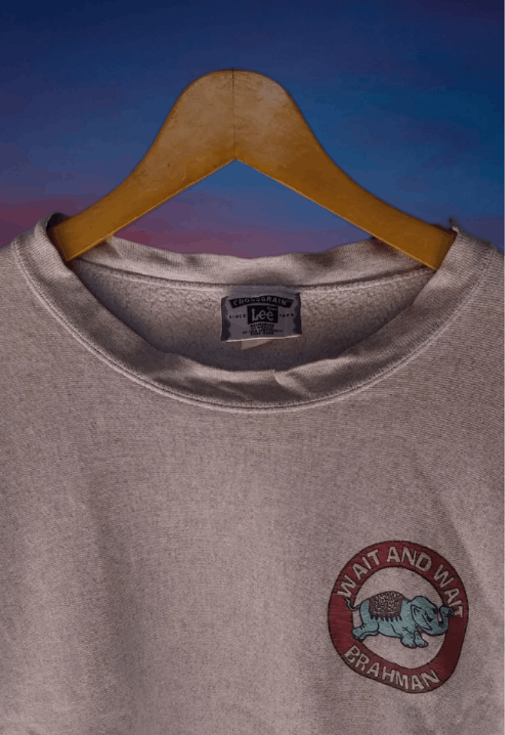 Band Tees × Japanese Brand × Vintage Vintage 90s reverse weave Brahman wait and wait promo album Size US L / EU 52-54 / 3 - 4 Thumbnail