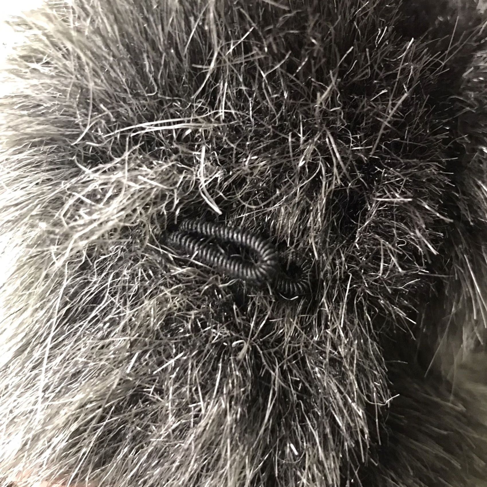 Vintage VINTAGE Donnybrook Gray/Black Faux Fox Fur Tier Oversized Coat ILGWU USA 9 M Satin Lined Dry Clean Only Pockets Union-Made Womens Jacket Size M / US 6-8 / IT 42-44 - 7 Thumbnail