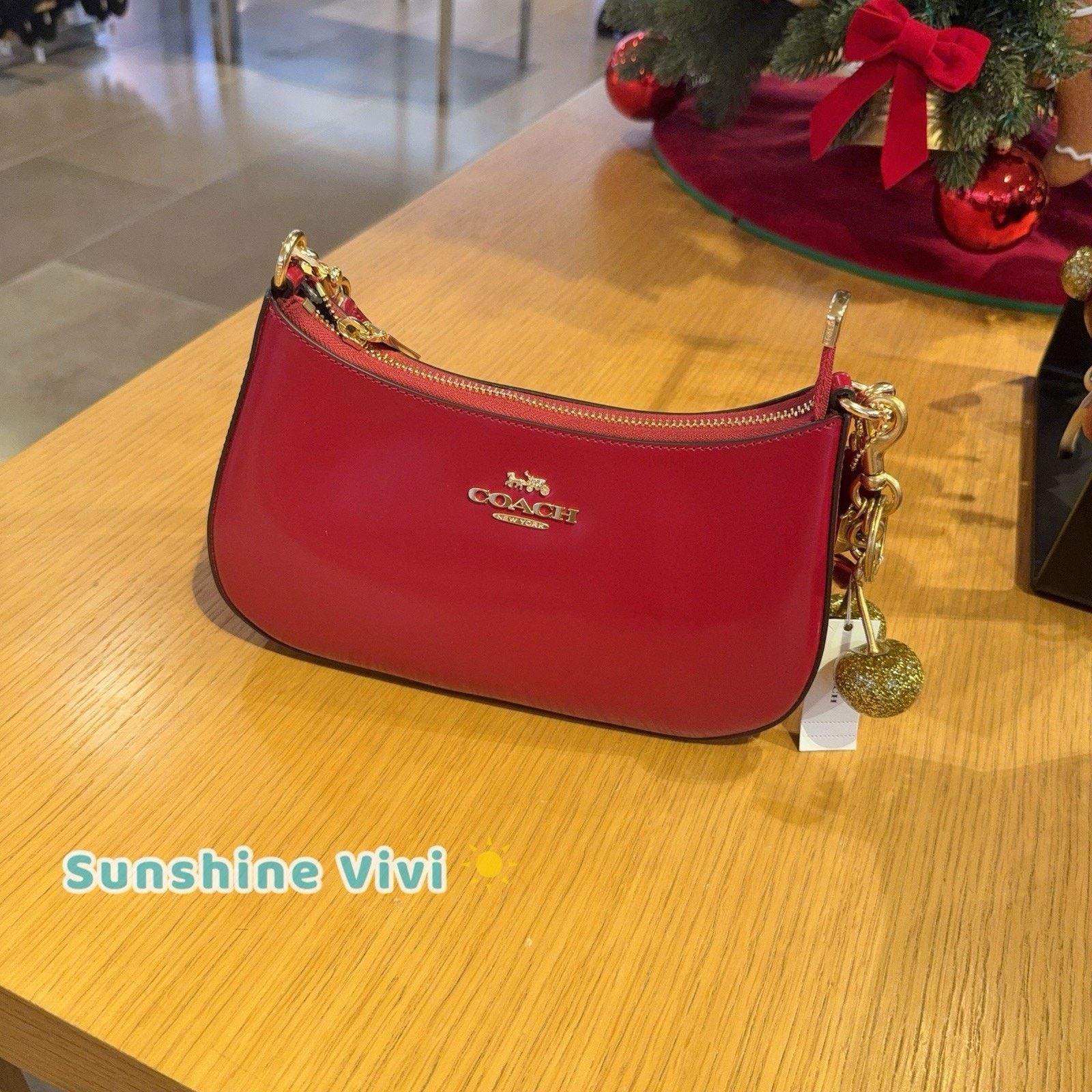 Coach NWT Bundle Coach CV938 Teri Red & Cherry Bag Charm 77840 Size ONE SIZE - 1 Thumbnail