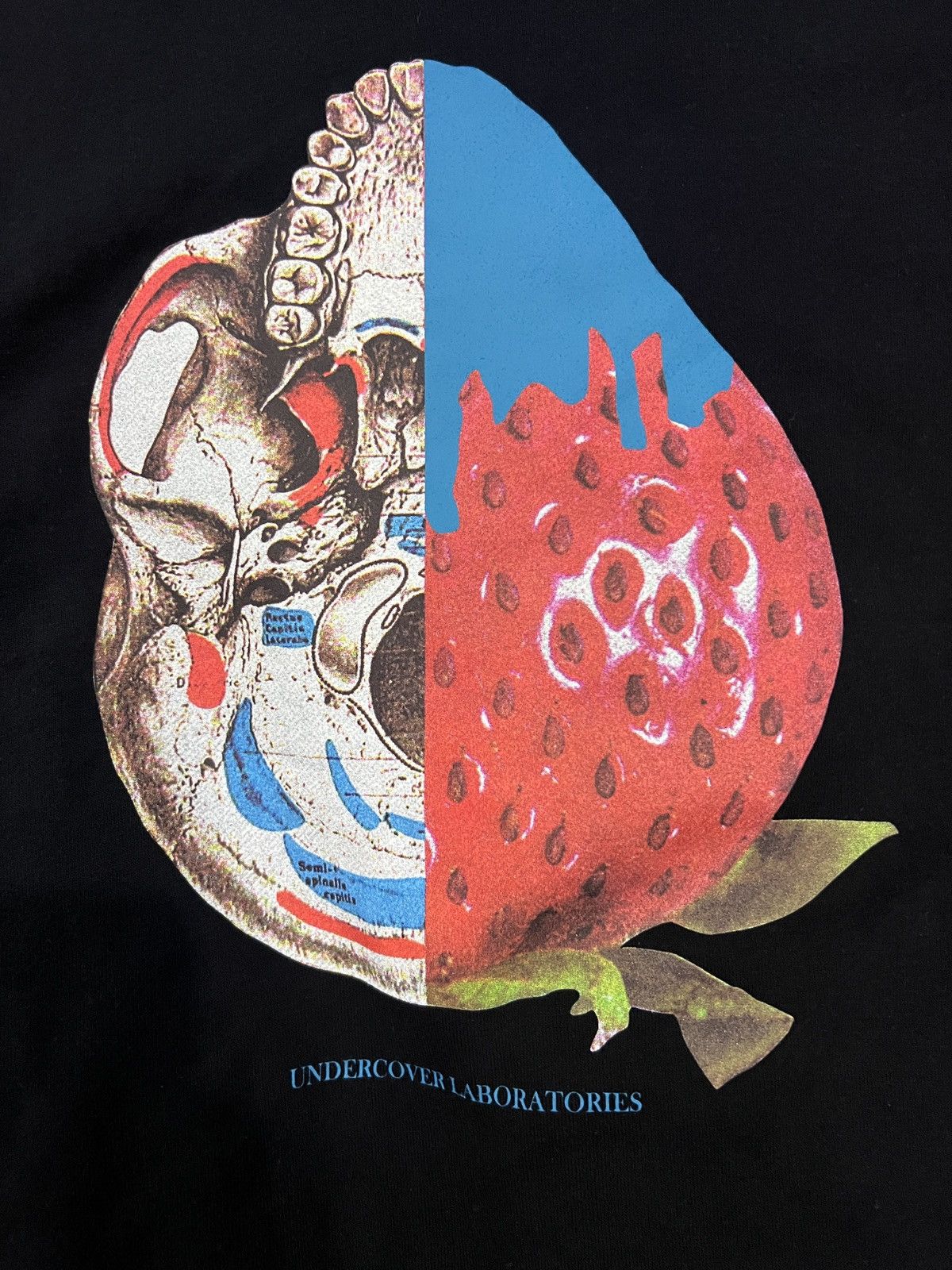 Undercover Undercover Skull Strawberry Sweatshirt Size US M / EU 48-50 / 2 - 3 Thumbnail
