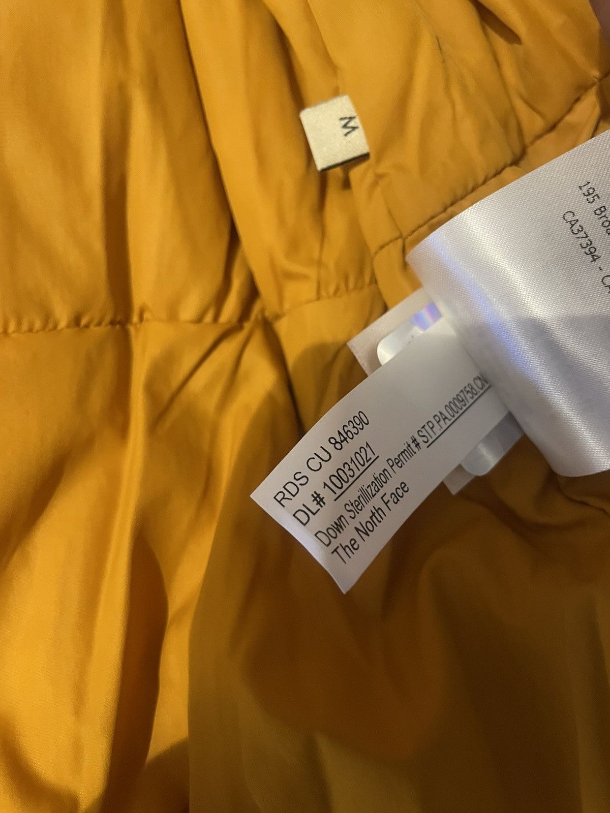 Gucci × The North Face The North Face / Gucci Winter Jacket Size US M / EU 48-50 / 2 - 11 Thumbnail