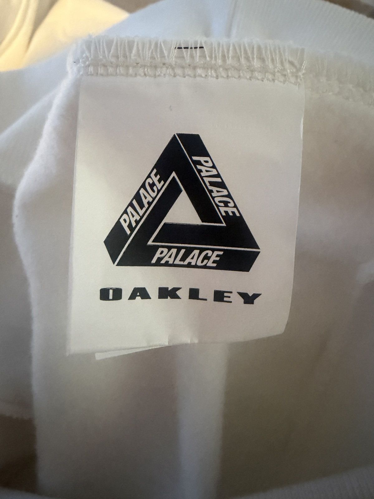 Oakley × Palace Palace X Oakley Logo Hoodie Size XL Size US XL / EU 56 / 4 - 5 Thumbnail