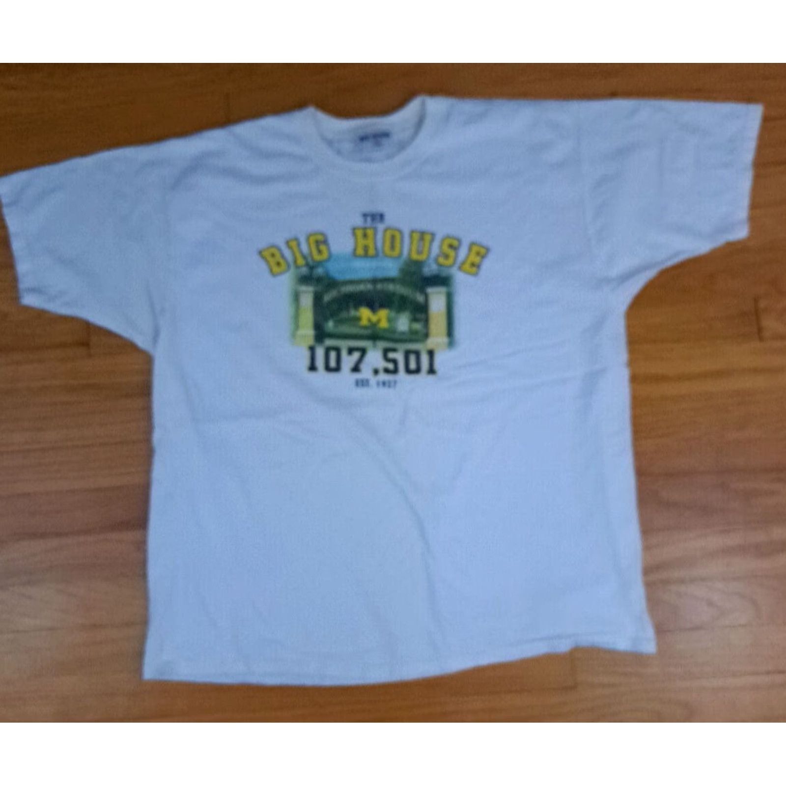 X-LARGE VINTAGE Michigan Wolverines Football Big House 107.501 X-Large T-Shirt Men XL White College Sports University Wolverine Shirts Size US XL / EU 56 / 4 - 2 Thumbnail