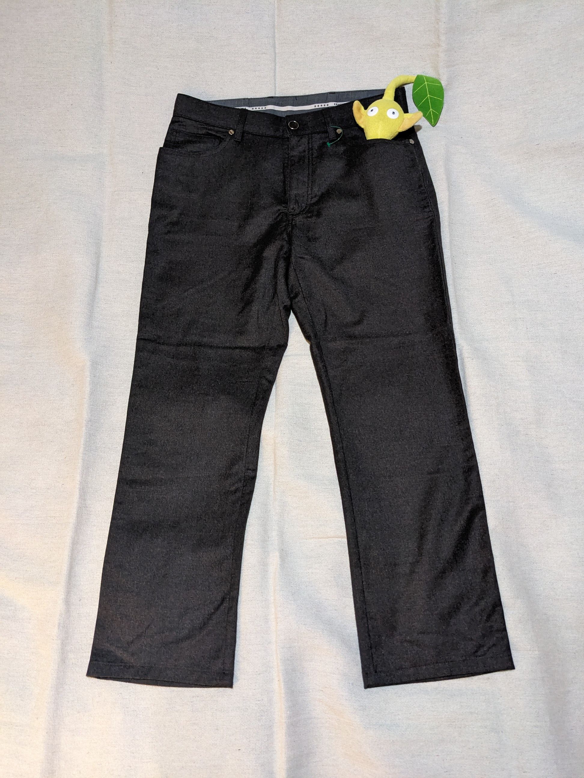 Ermenegildo Zegna Wool Zegna pants mens 32 27 Size US 32 / EU 48 - 1 Thumbnail