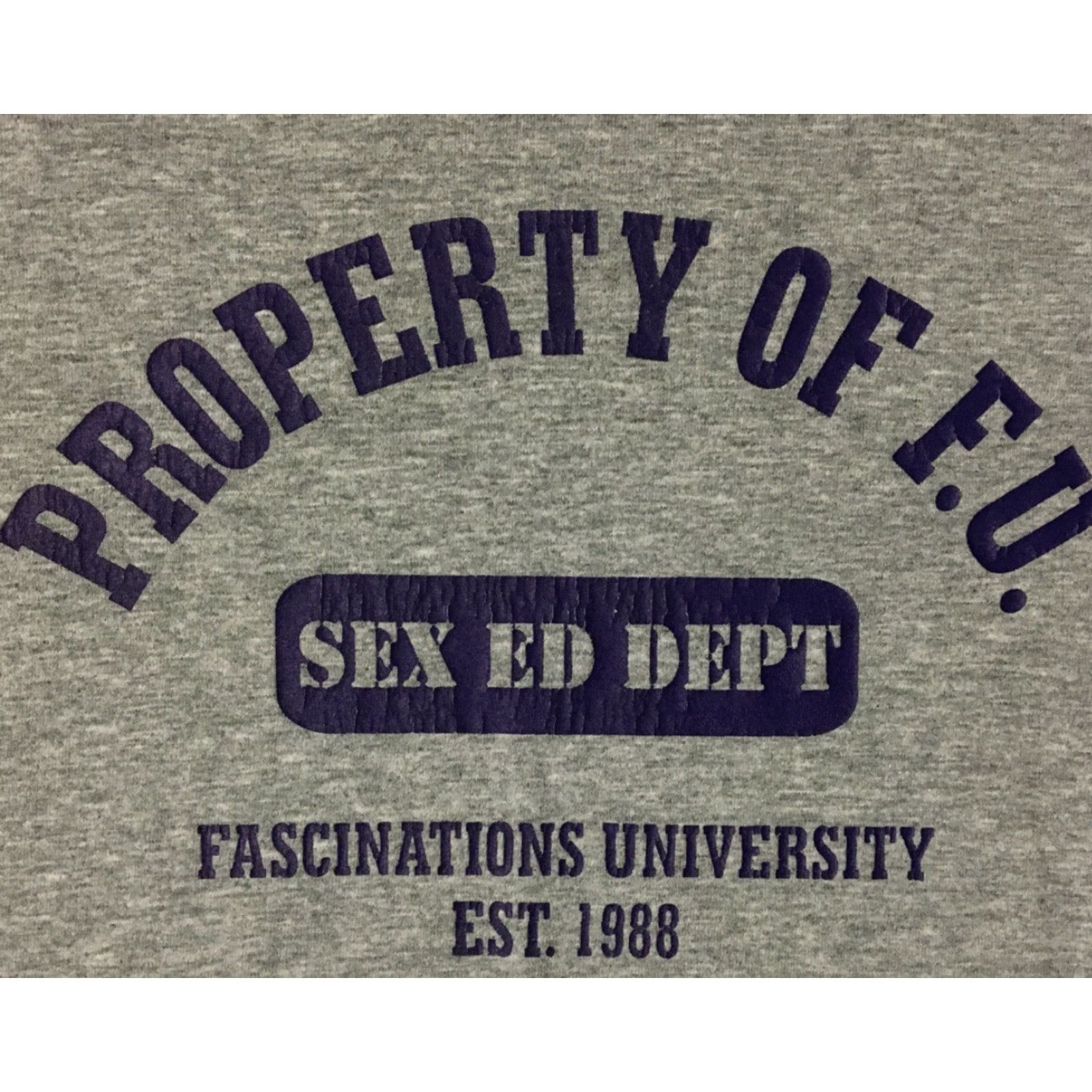 Vintage VINTAGE Property Of F.U. Sex Ed Making You Sweat Shirt XL Gray Mens Short Sleeve 90s Grunge Comedy School College USA USA 80s Surf Skate Size US XL / EU 56 / 4 - 3 Thumbnail